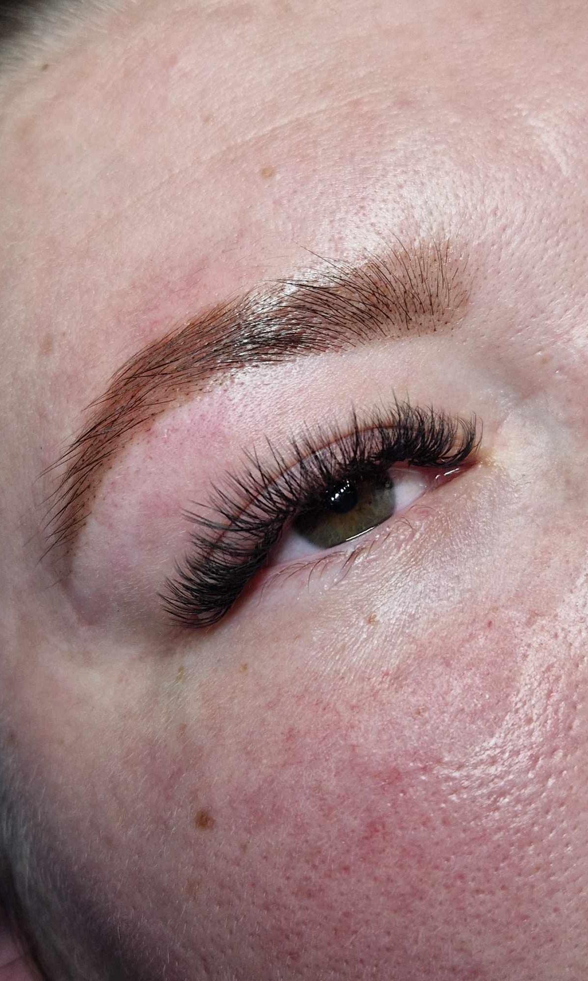 ladybuglashes lashglue lashtrays lashadhesive glueretention cloverlashes wlashes yylashes premades promades lashes