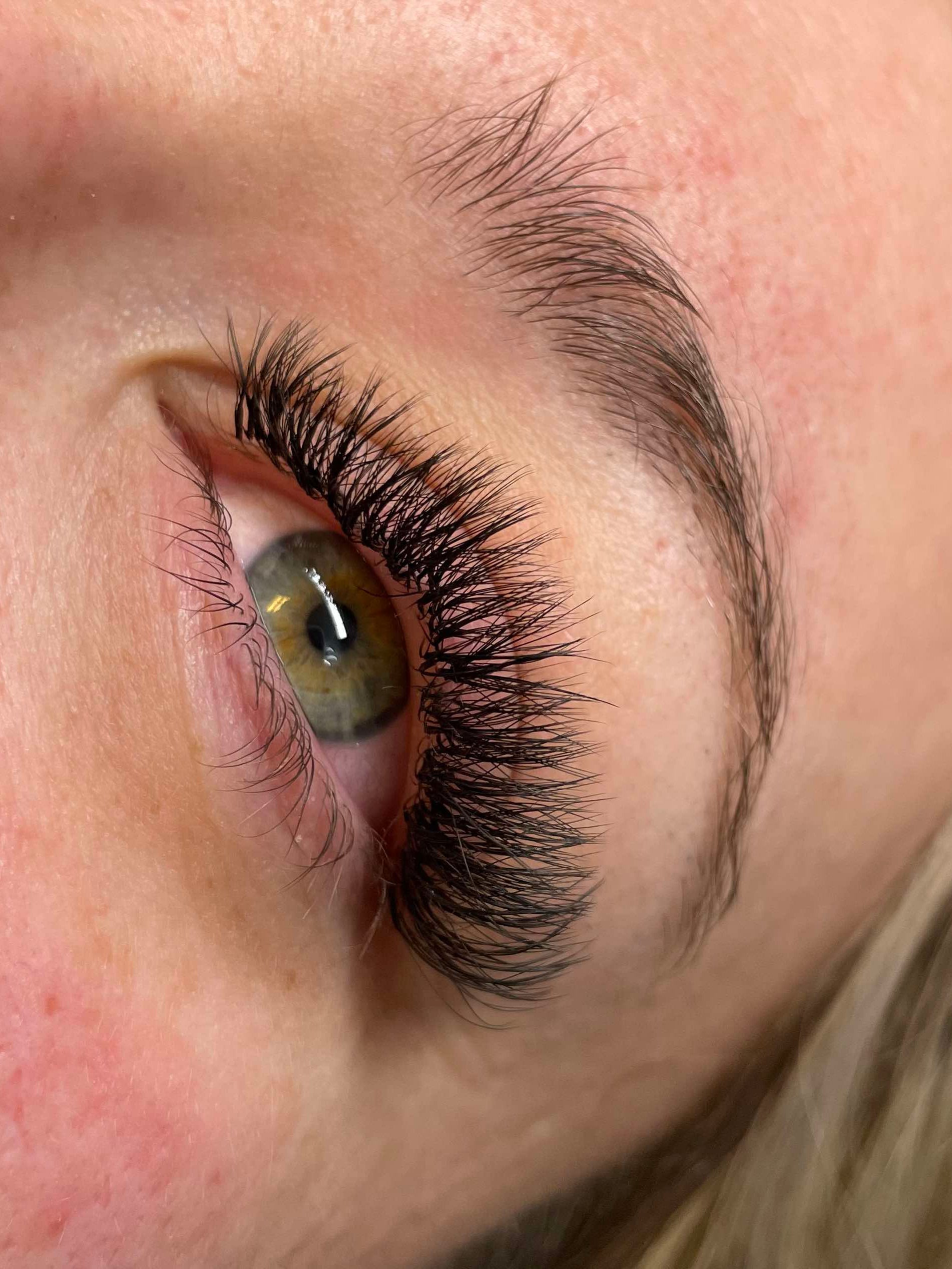 ladybuglashes lashglue lashtrays lashadhesive glueretention cloverlashes wlashes yylashes premades promades lashes