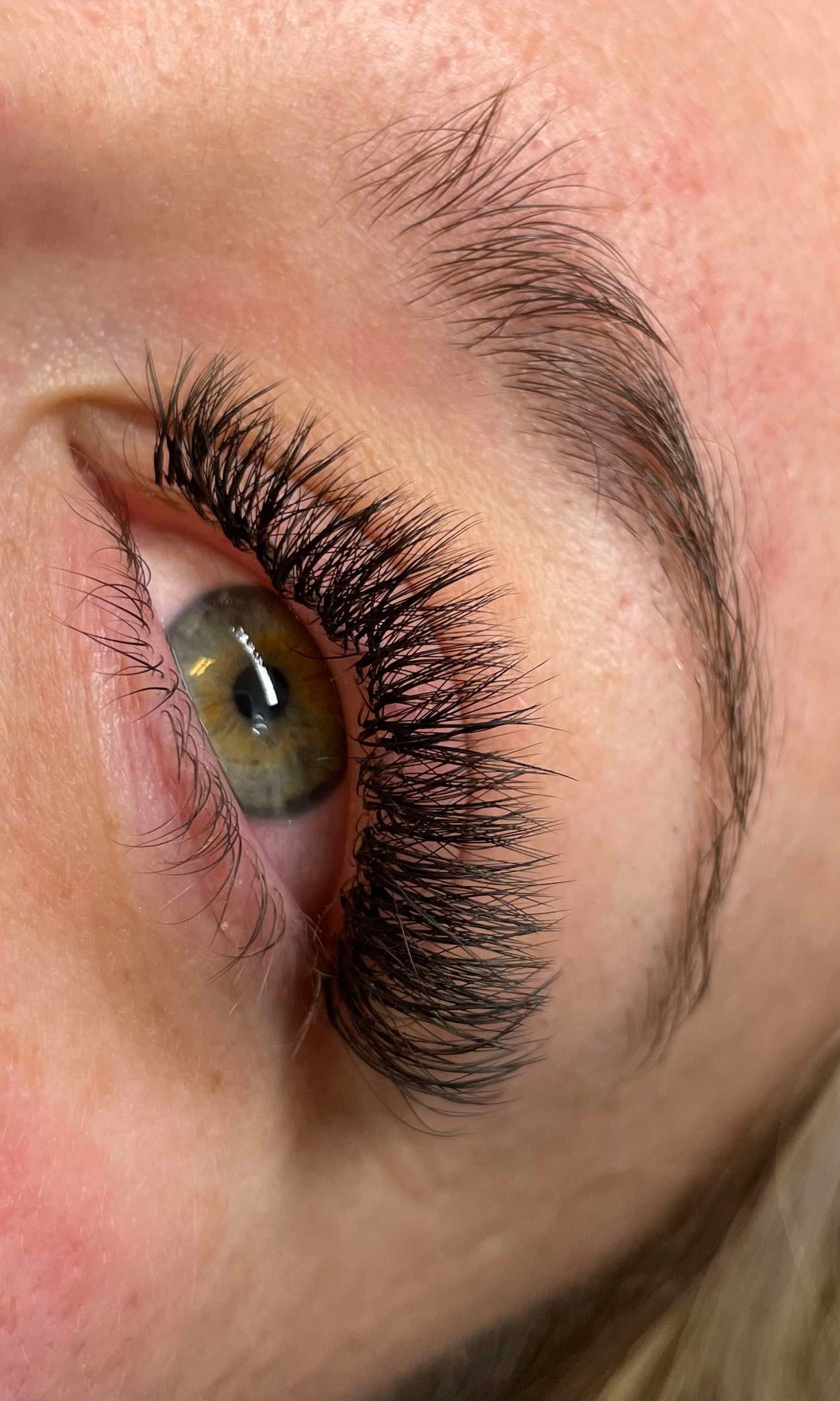 ladybuglashes lashglue lashtrays lashadhesive glueretention cloverlashes wlashes yylashes premades promades lashes