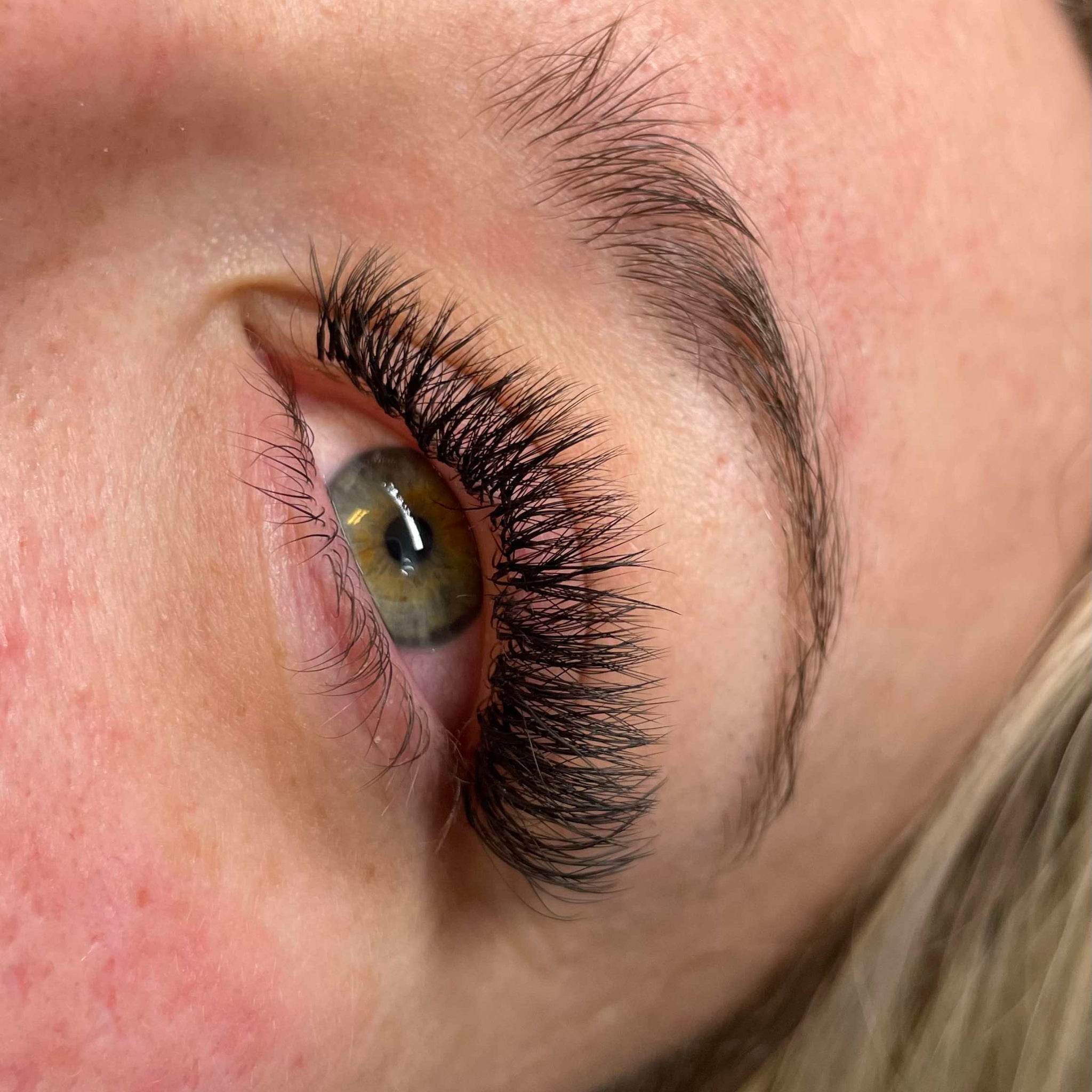 ladybuglashes lashglue lashtrays lashadhesive glueretention cloverlashes wlashes yylashes premades promades lashes
