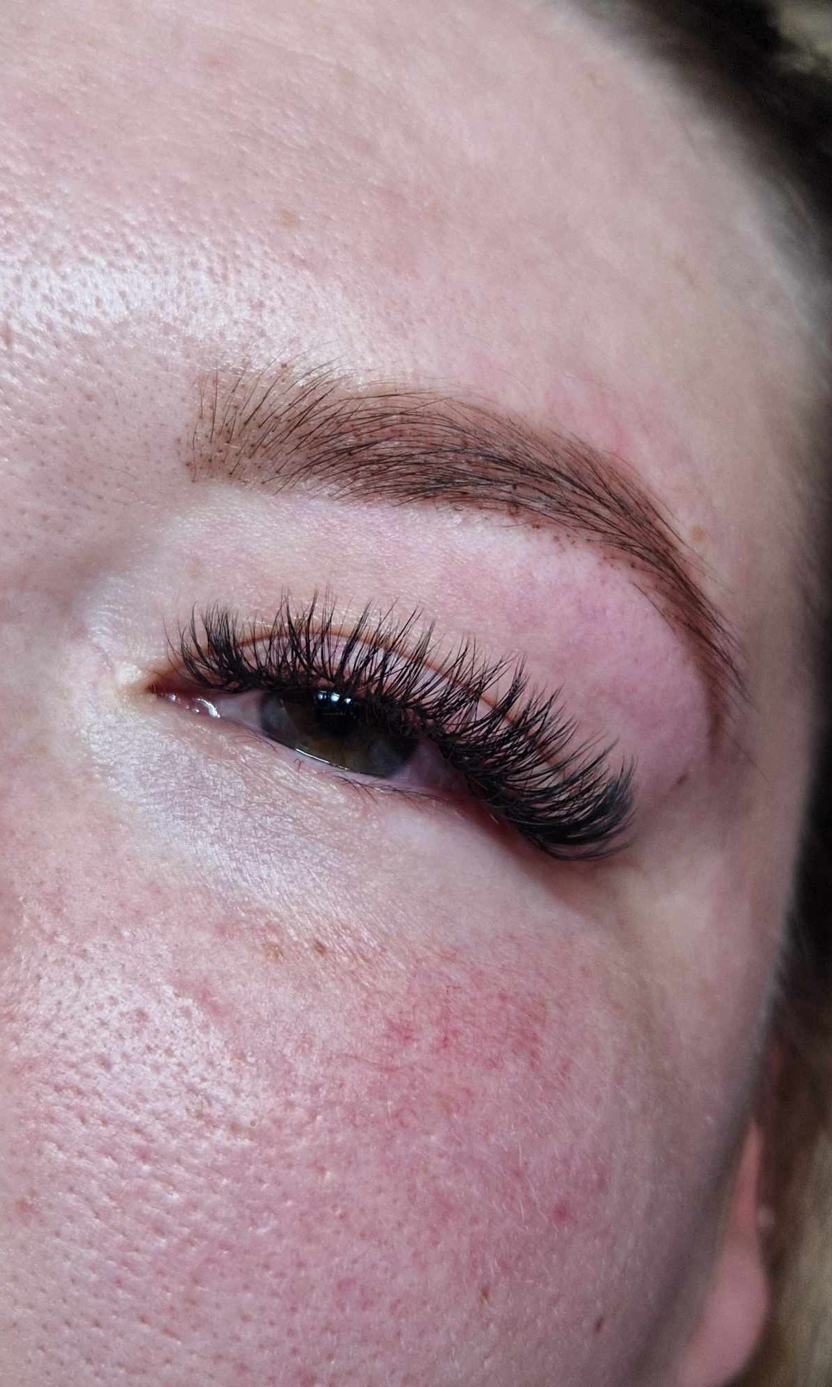 ladybuglashes lashglue lashtrays lashadhesive glueretention cloverlashes wlashes yylashes premades promades lashes