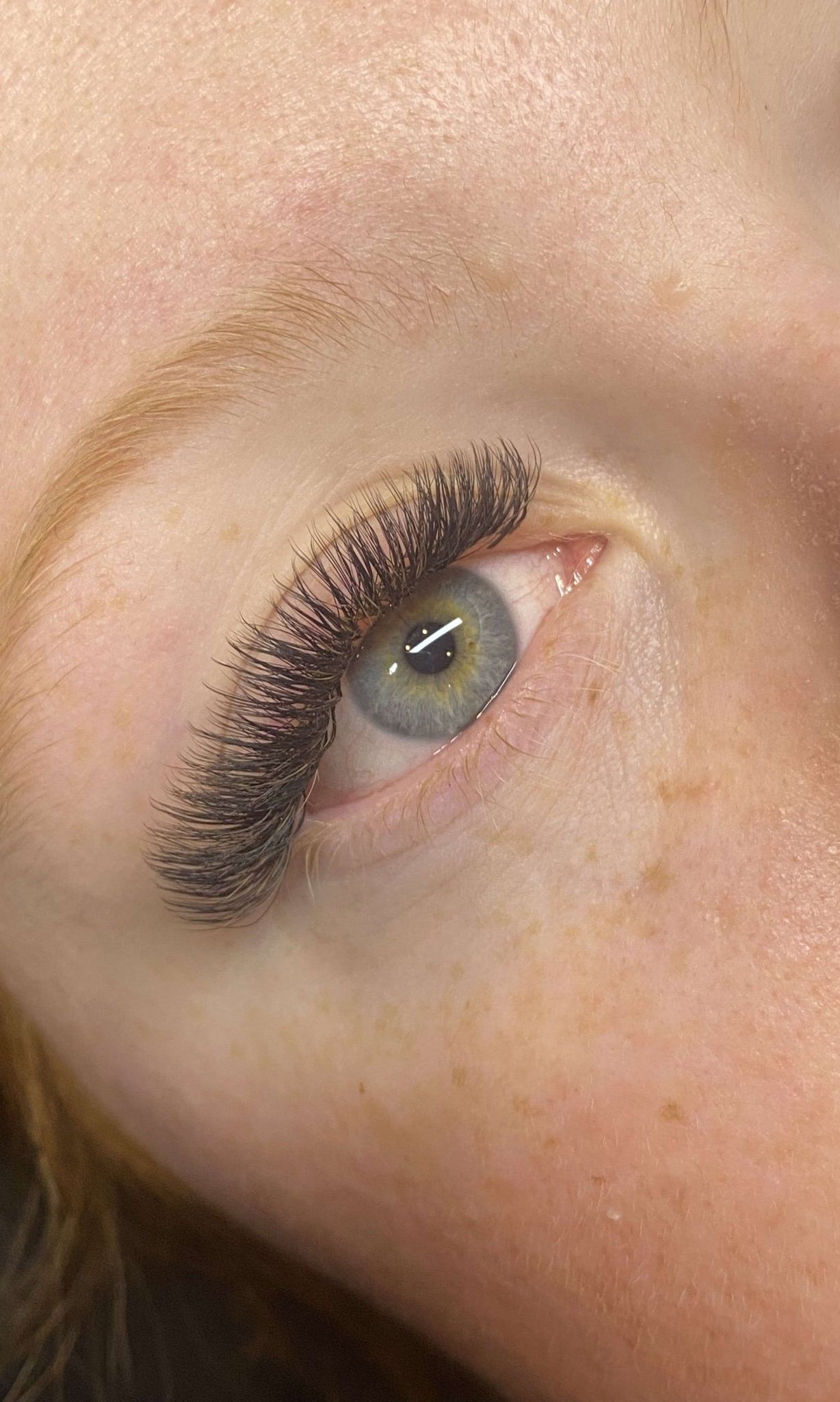 ladybuglashes lashglue lashtrays lashadhesive glueretention cloverlashes wlashes yylashes premades promades lashes