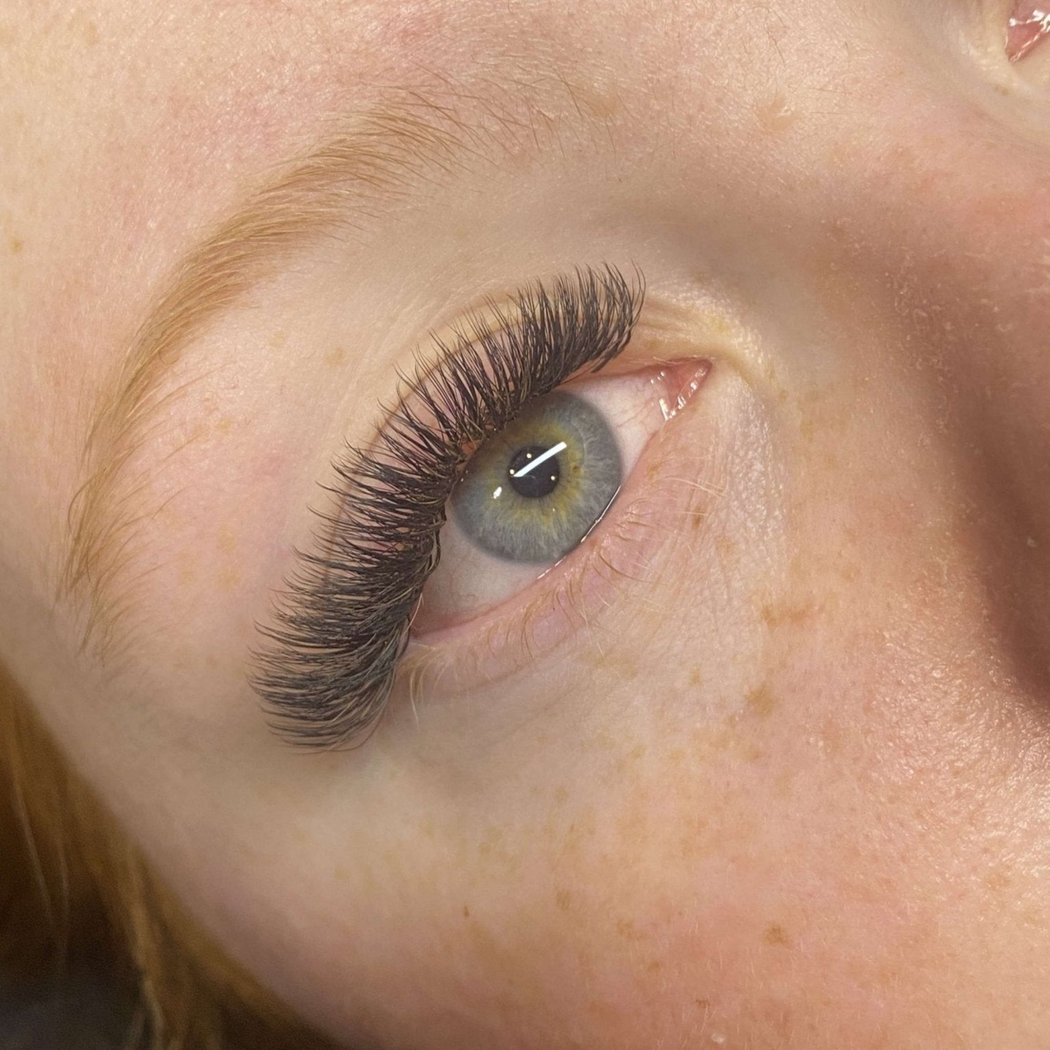 ladybuglashes lashglue lashtrays lashadhesive glueretention cloverlashes wlashes yylashes premades promades lashes