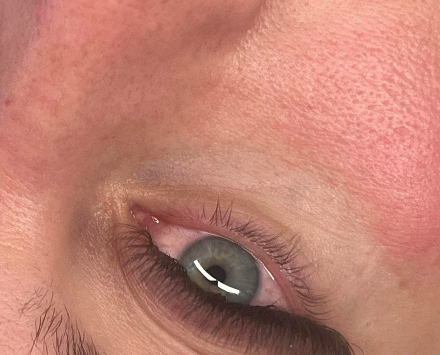 ladybuglashes lashglue lashtrays lashadhesive glueretention cloverlashes wlashes yylashes premades promades lashes