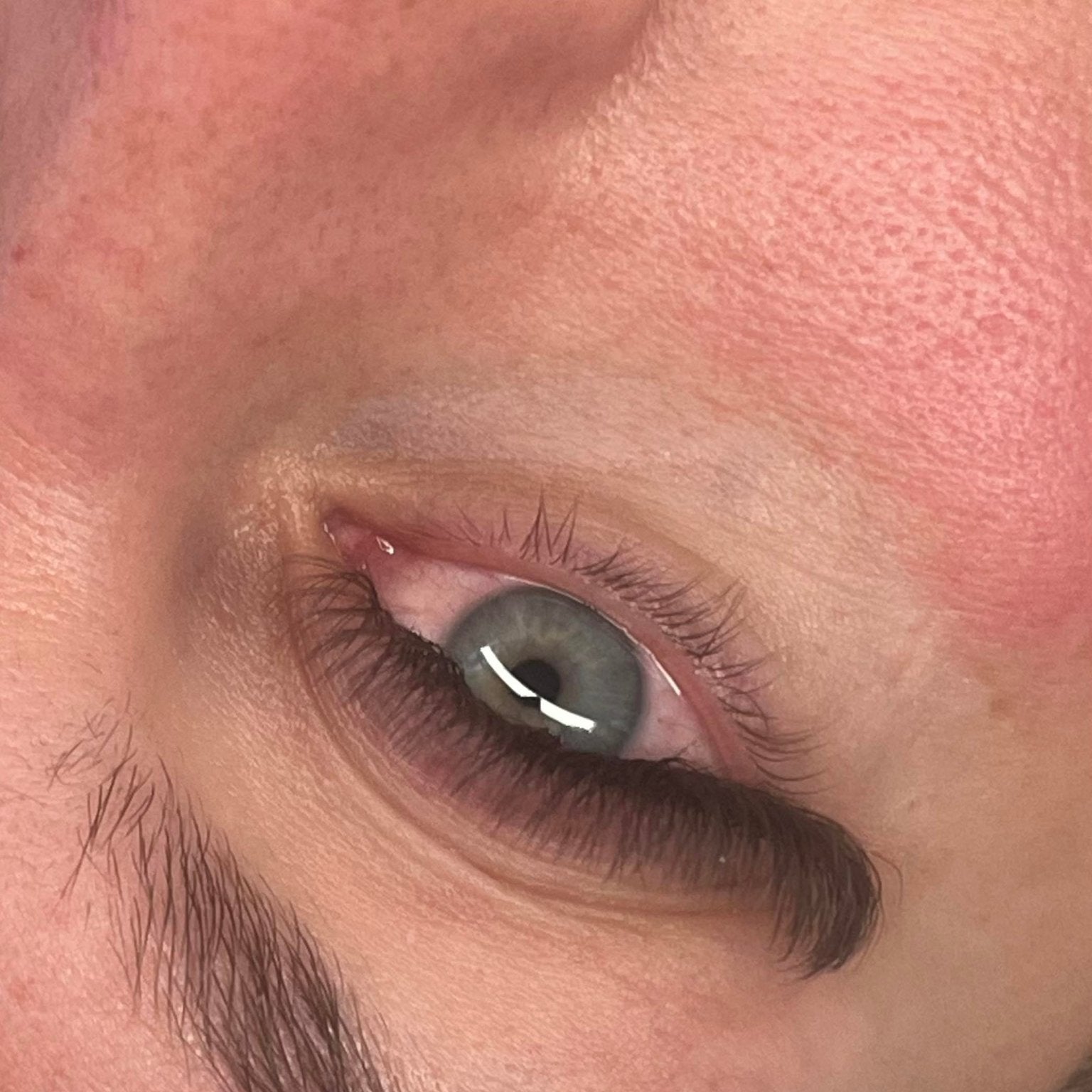 ladybuglashes lashglue lashtrays lashadhesive glueretention cloverlashes wlashes yylashes premades promades lashes