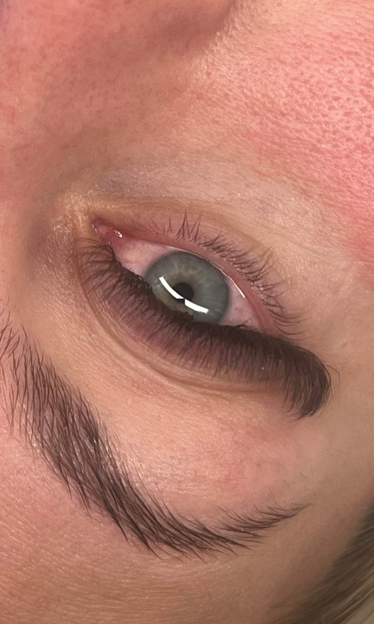 ladybuglashes lashglue lashtrays lashadhesive glueretention cloverlashes wlashes yylashes premades promades lashes