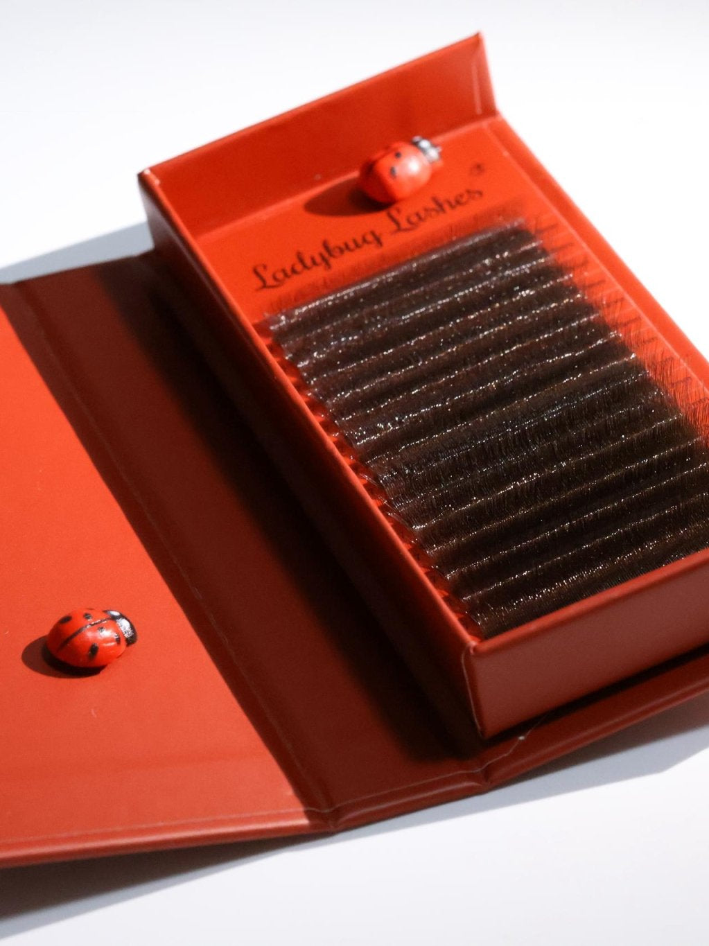 ladybuglashes lashglue lashtrays lashadhesive glueretention cloverlashes wlashes yylashes premades promades lashes