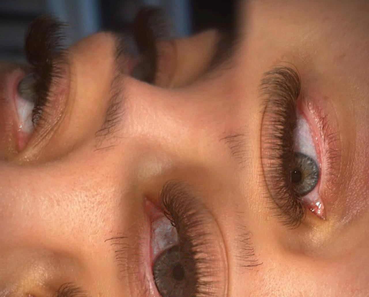 ladybuglashes lashglue lashtrays lashadhesive glueretention cloverlashes wlashes yylashes premades promades lashes