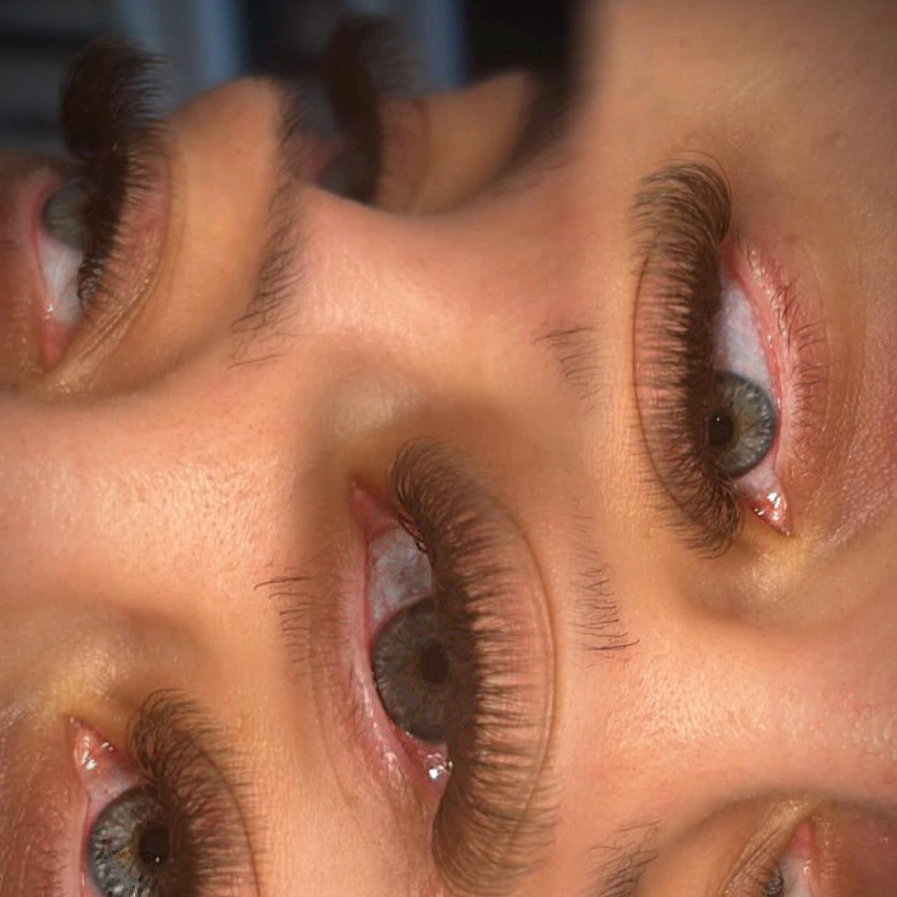 ladybuglashes lashglue lashtrays lashadhesive glueretention cloverlashes wlashes yylashes premades promades lashes