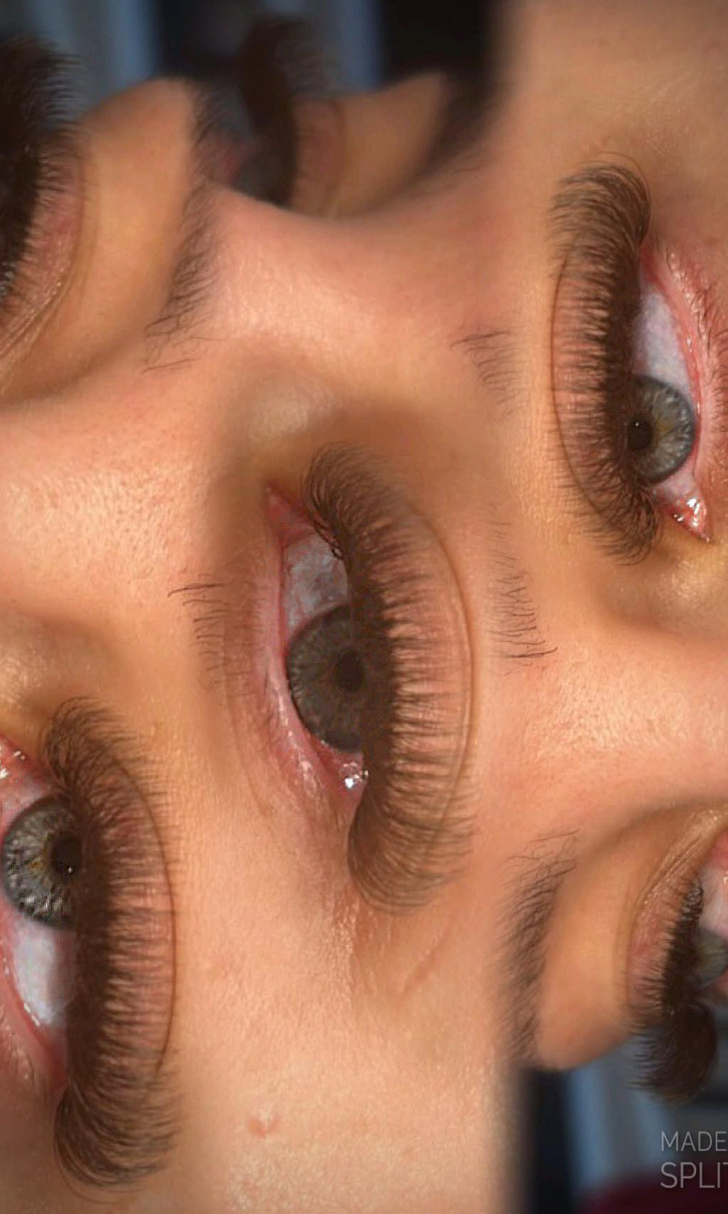 ladybuglashes lashglue lashtrays lashadhesive glueretention cloverlashes wlashes yylashes premades promades lashes