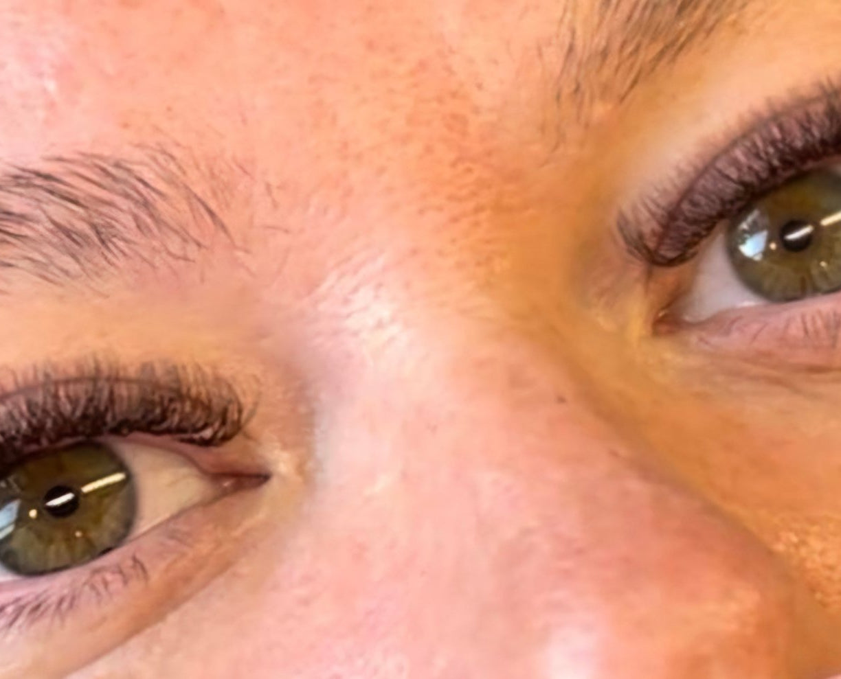 ladybuglashes lashglue lashtrays lashadhesive glueretention cloverlashes wlashes yylashes premades promades lashes