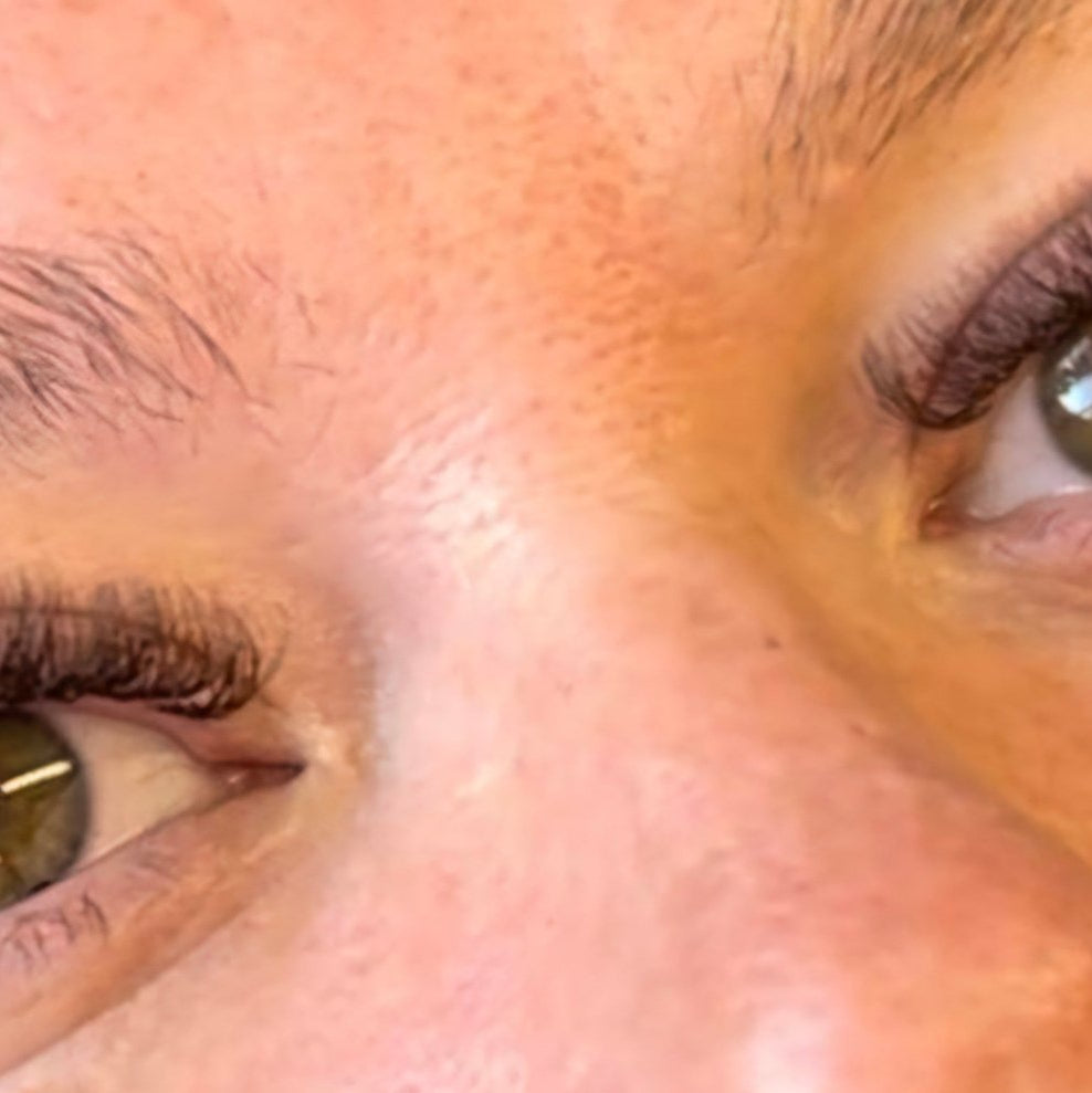 ladybuglashes lashglue lashtrays lashadhesive glueretention cloverlashes wlashes yylashes premades promades lashes