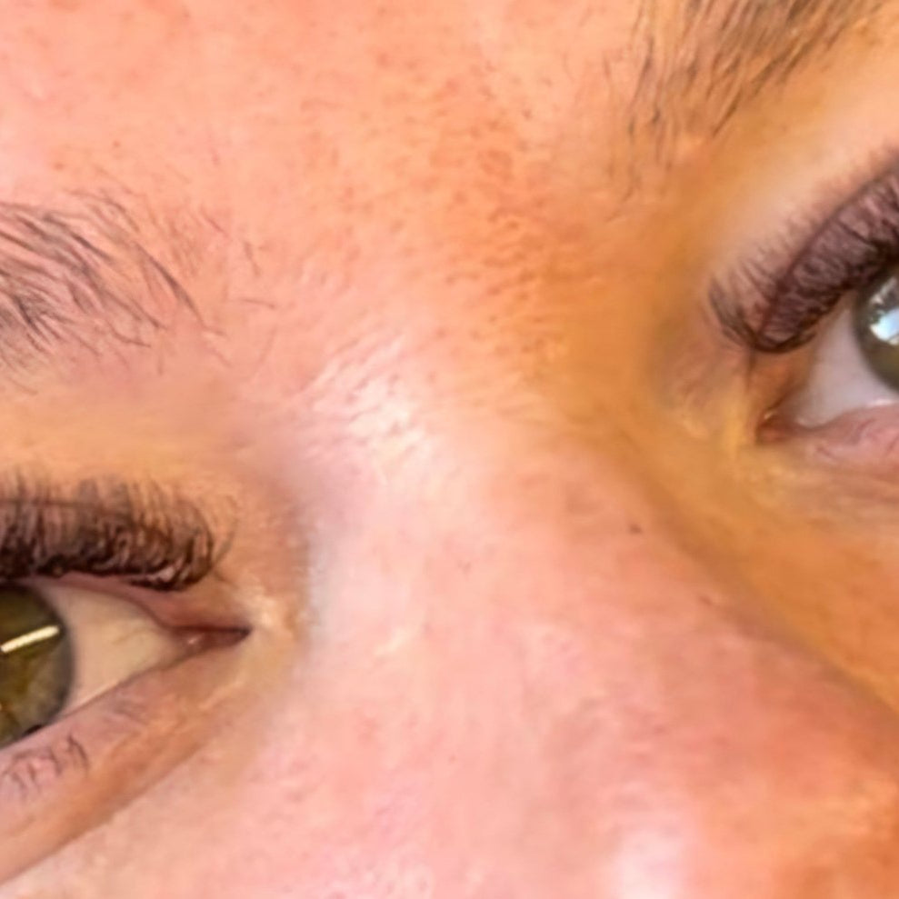 ladybuglashes lashglue lashtrays lashadhesive glueretention cloverlashes wlashes yylashes premades promades lashes