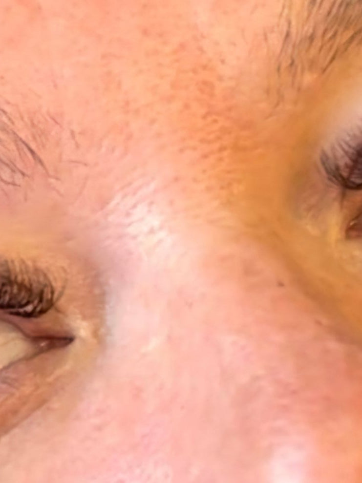 ladybuglashes lashglue lashtrays lashadhesive glueretention cloverlashes wlashes yylashes premades promades lashes