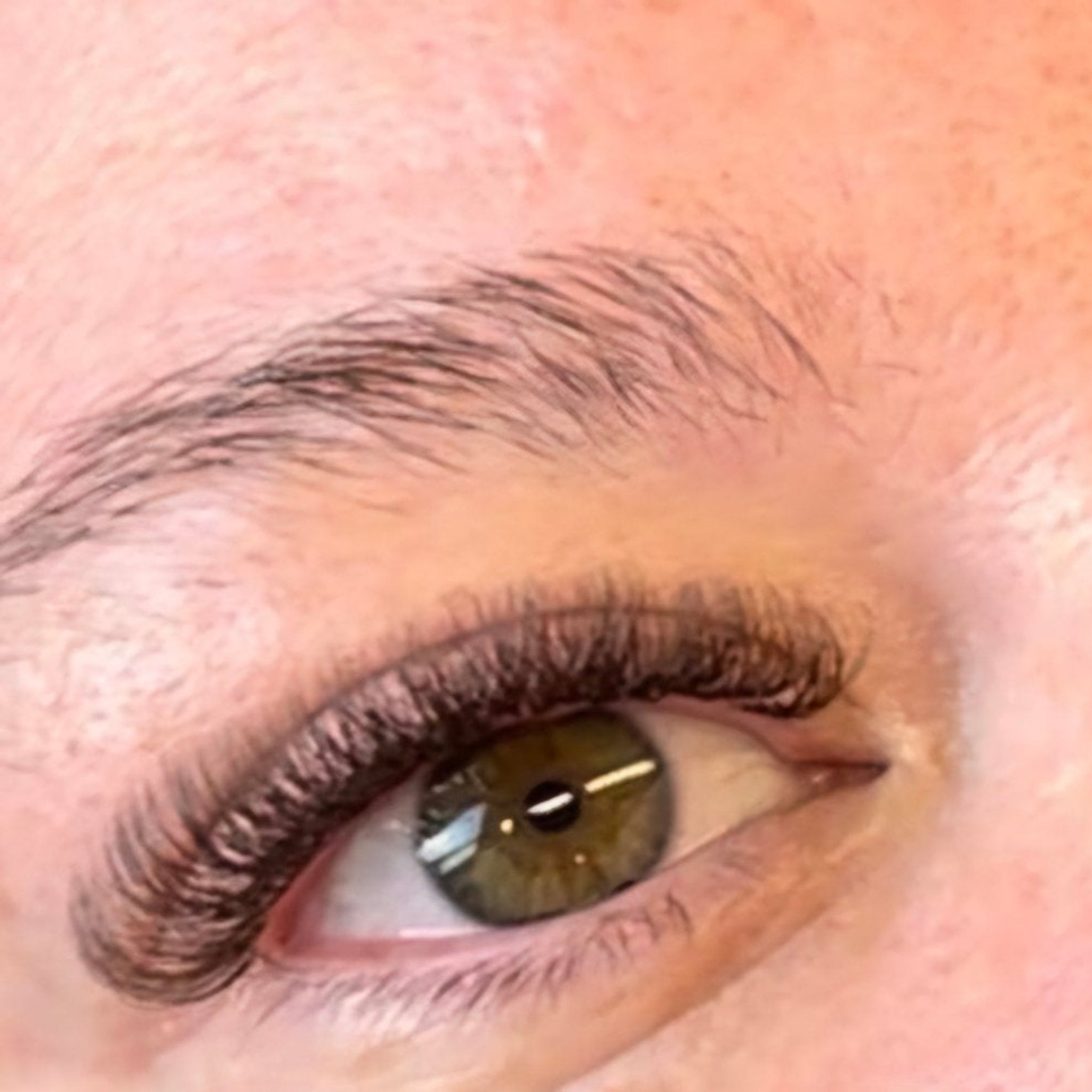 ladybuglashes lashglue lashtrays lashadhesive glueretention cloverlashes wlashes yylashes premades promades lashes