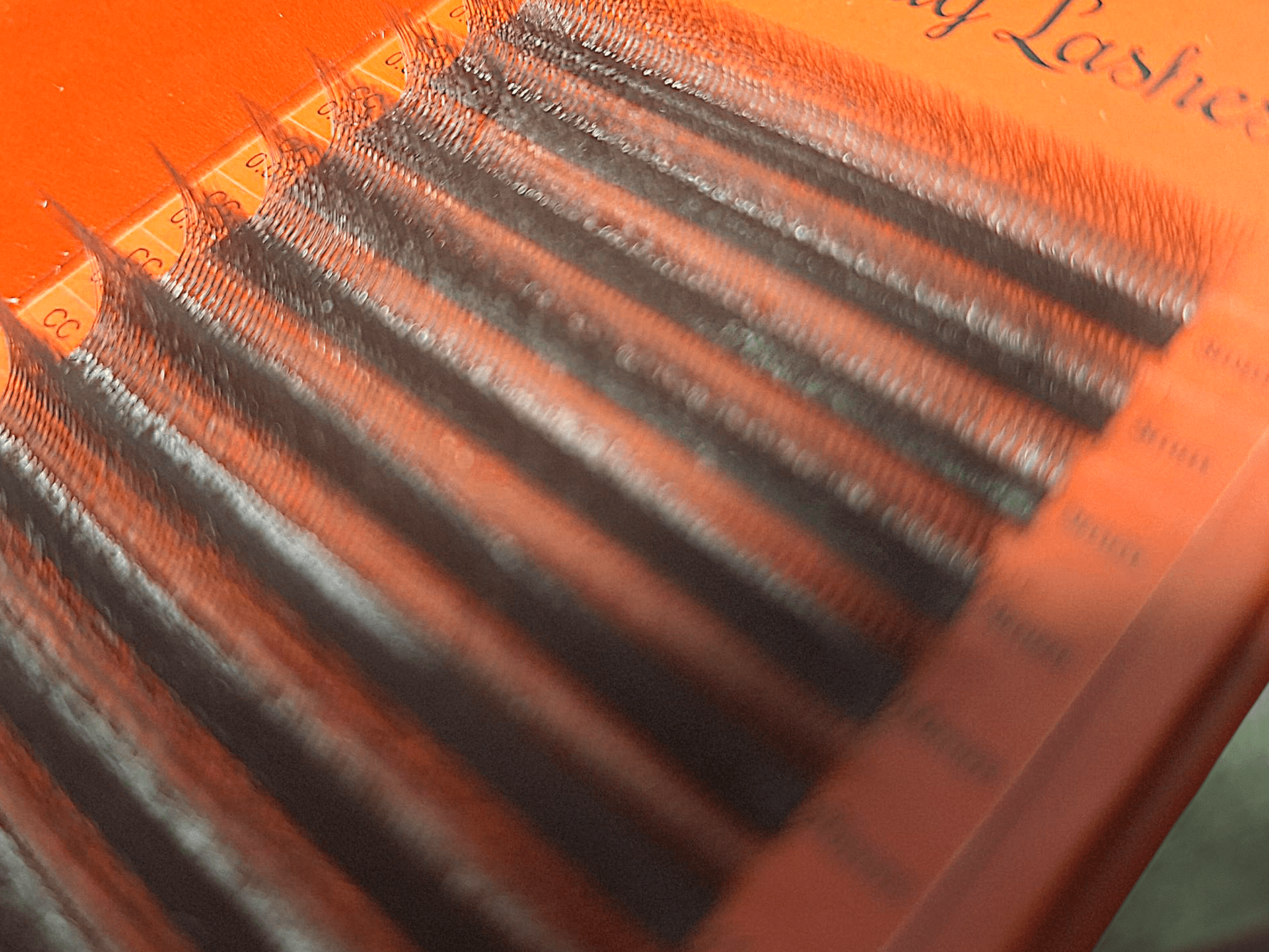 ladybuglashes lashglue lashtrays lashadhesive glueretention cloverlashes wlashes yylashes premades promades lashes