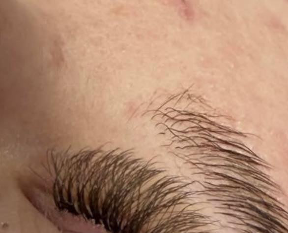 ladybuglashes lashglue lashtrays lashadhesive glueretention cloverlashes wlashes yylashes premades promades lashes