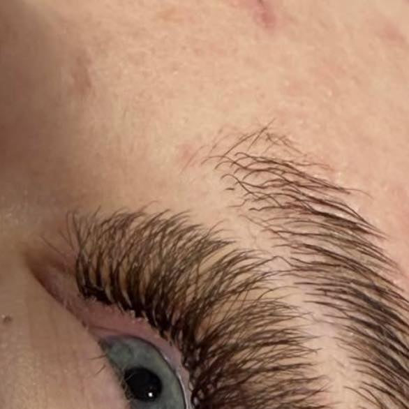 ladybuglashes lashglue lashtrays lashadhesive glueretention cloverlashes wlashes yylashes premades promades lashes