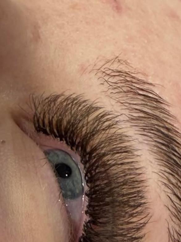 ladybuglashes lashglue lashtrays lashadhesive glueretention cloverlashes wlashes yylashes premades promades lashes