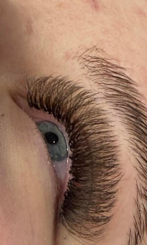 ladybuglashes lashglue lashtrays lashadhesive glueretention cloverlashes wlashes yylashes premades promades lashes