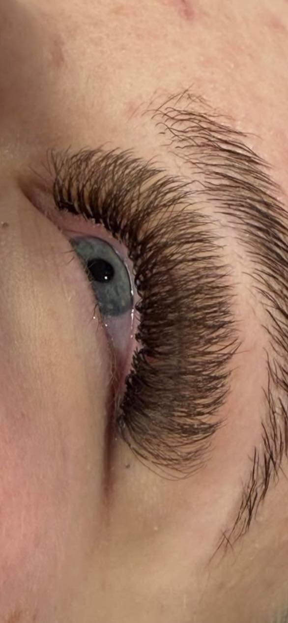 ladybuglashes lashglue lashtrays lashadhesive glueretention cloverlashes wlashes yylashes premades promades lashes