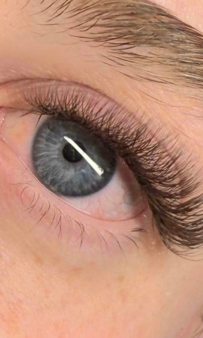 ladybuglashes lashglue lashtrays lashadhesive glueretention cloverlashes wlashes yylashes premades promades lashes