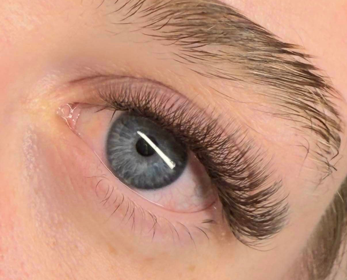 ladybuglashes lashglue lashtrays lashadhesive glueretention cloverlashes wlashes yylashes premades promades lashes