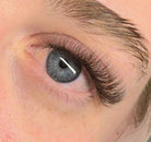 ladybuglashes lashglue lashtrays lashadhesive glueretention cloverlashes wlashes yylashes premades promades lashes