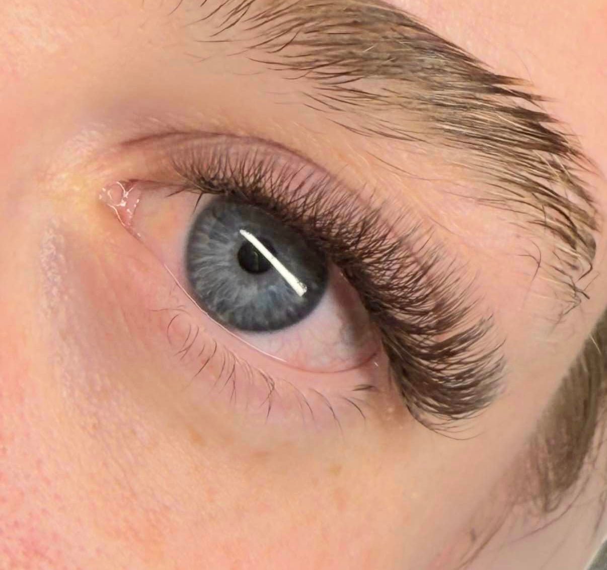 ladybuglashes lashglue lashtrays lashadhesive glueretention cloverlashes wlashes yylashes premades promades lashes