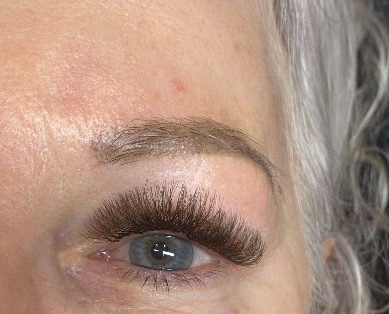 ladybuglashes lashglue lashtrays lashadhesive glueretention cloverlashes wlashes yylashes premades promades lashes