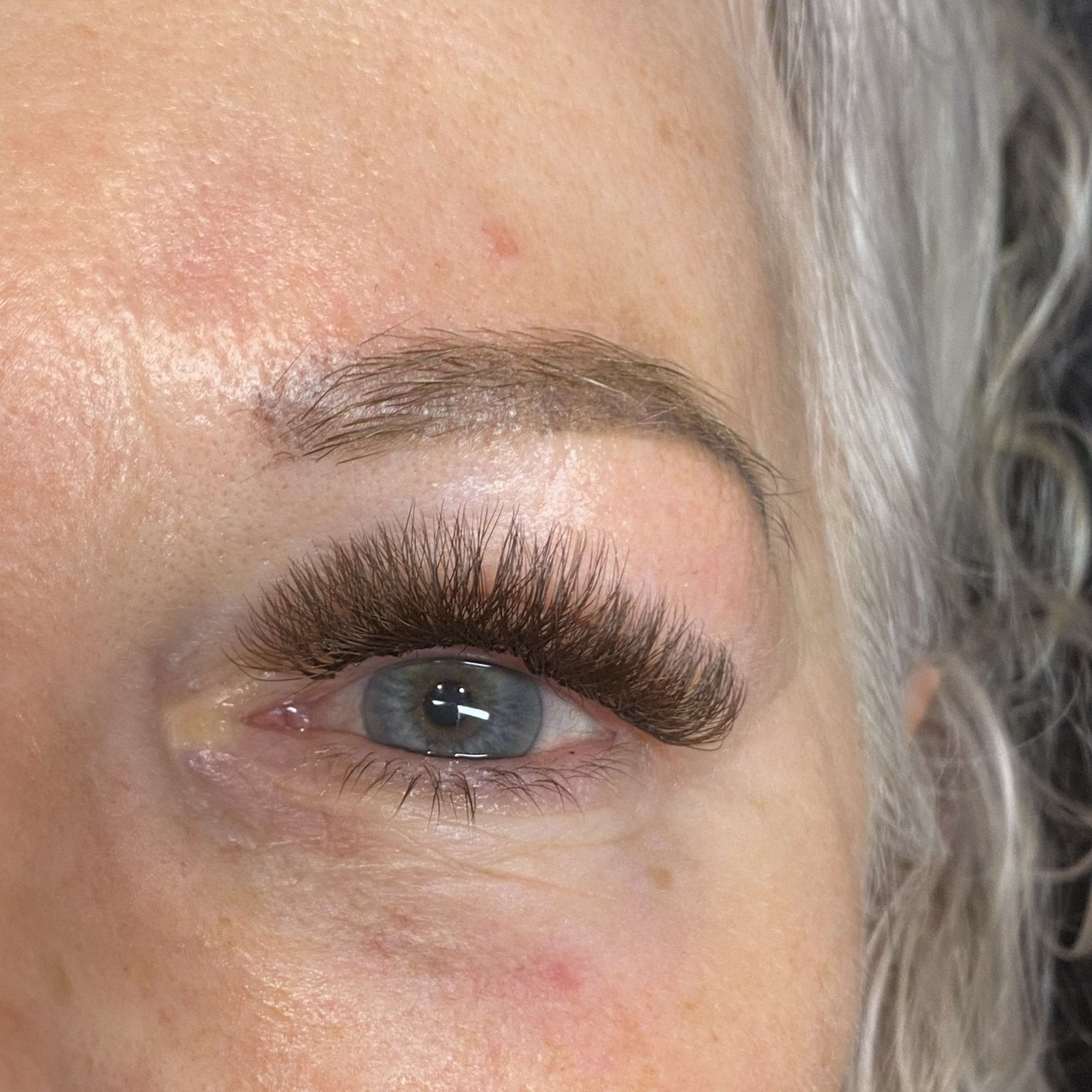 ladybuglashes lashglue lashtrays lashadhesive glueretention cloverlashes wlashes yylashes premades promades lashes