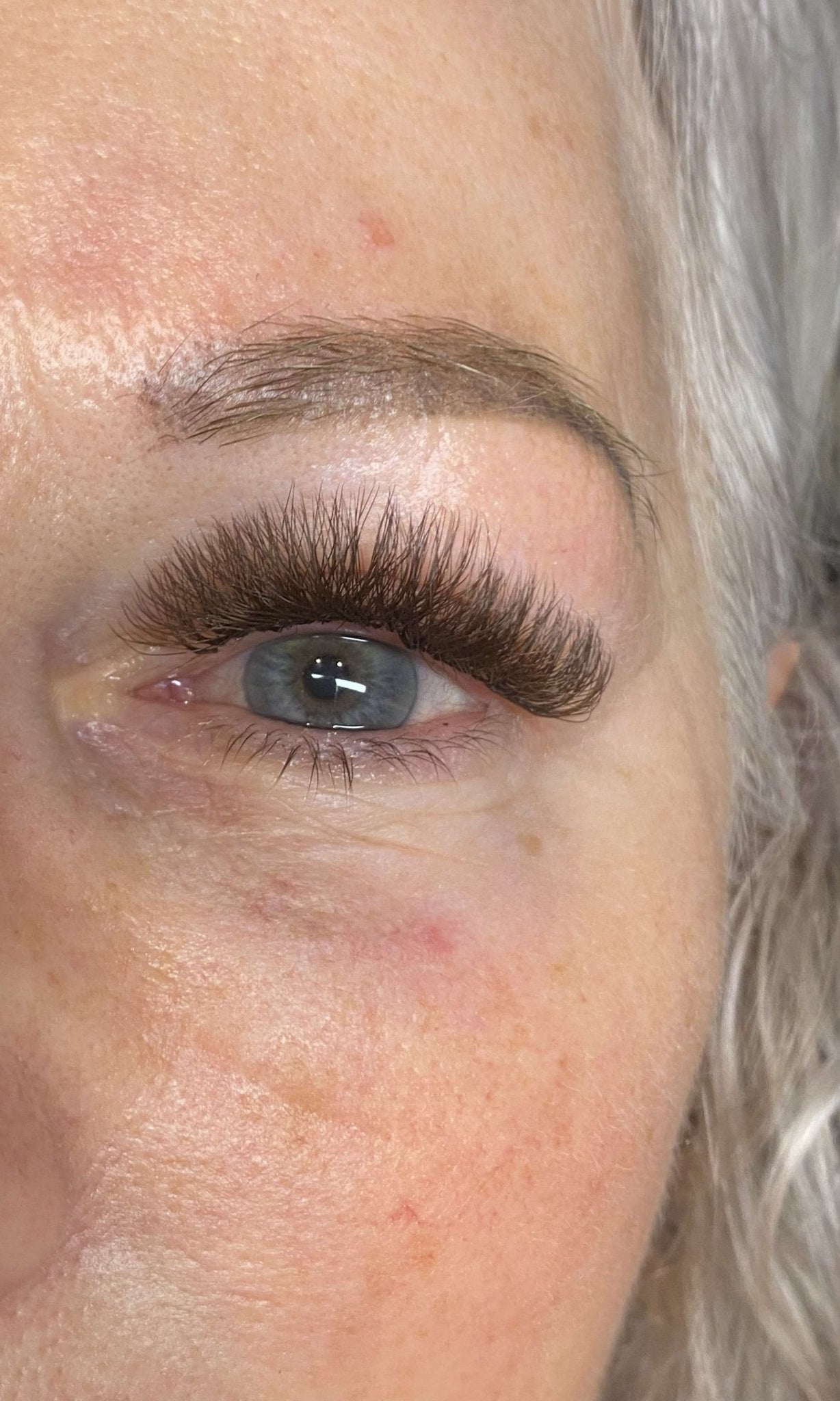 ladybuglashes lashglue lashtrays lashadhesive glueretention cloverlashes wlashes yylashes premades promades lashes