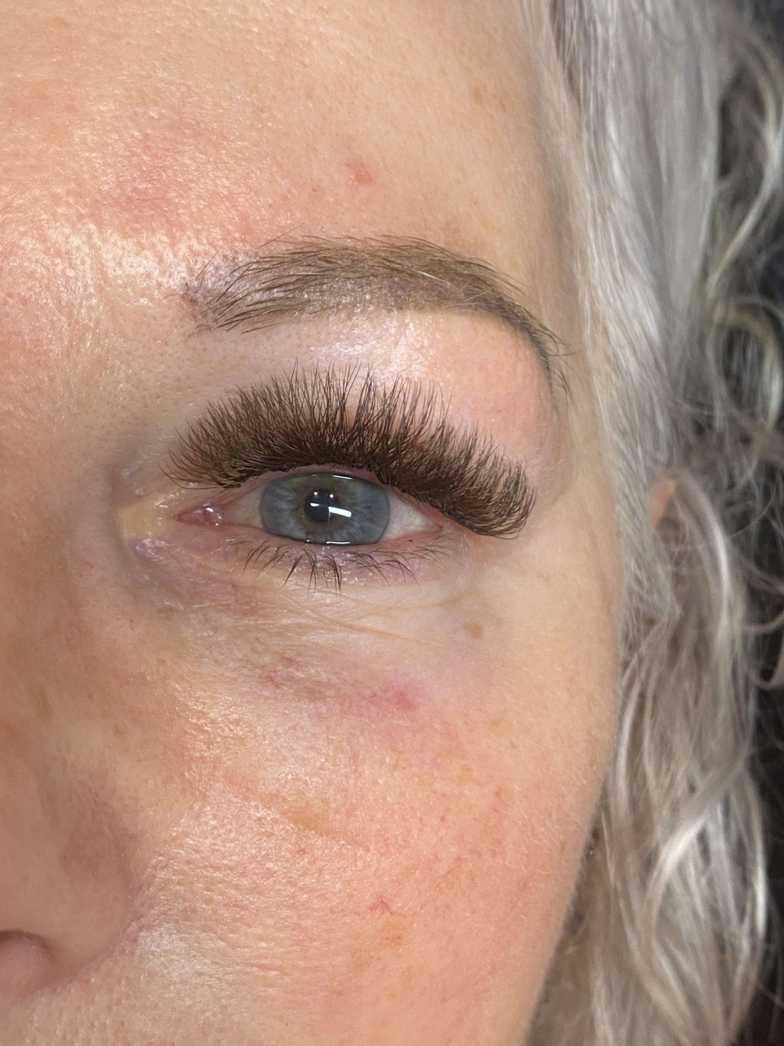 ladybuglashes lashglue lashtrays lashadhesive glueretention cloverlashes wlashes yylashes premades promades lashes