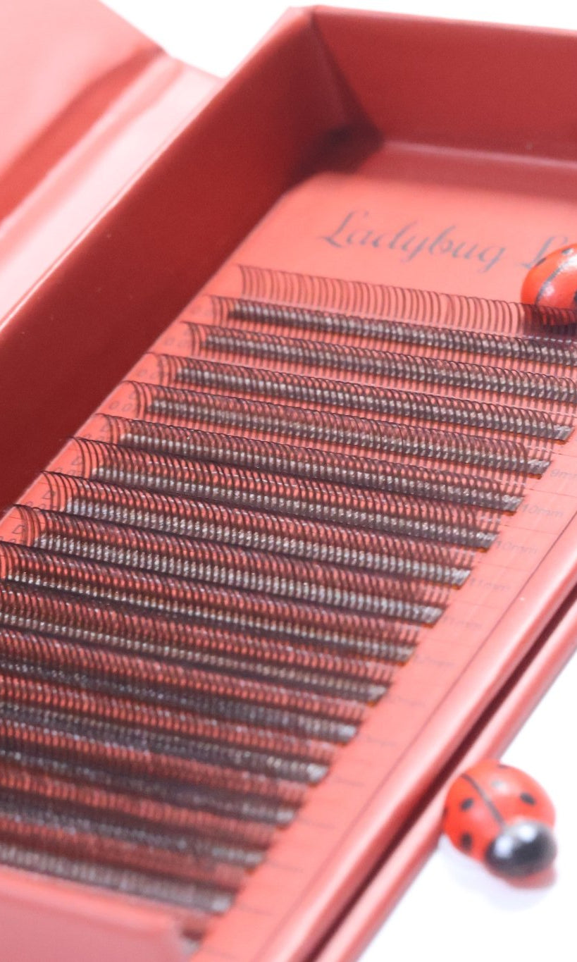 🤎 Brown Angel Lash Mixed Tray 🤎 Pre-Made Fans Soft & Natural