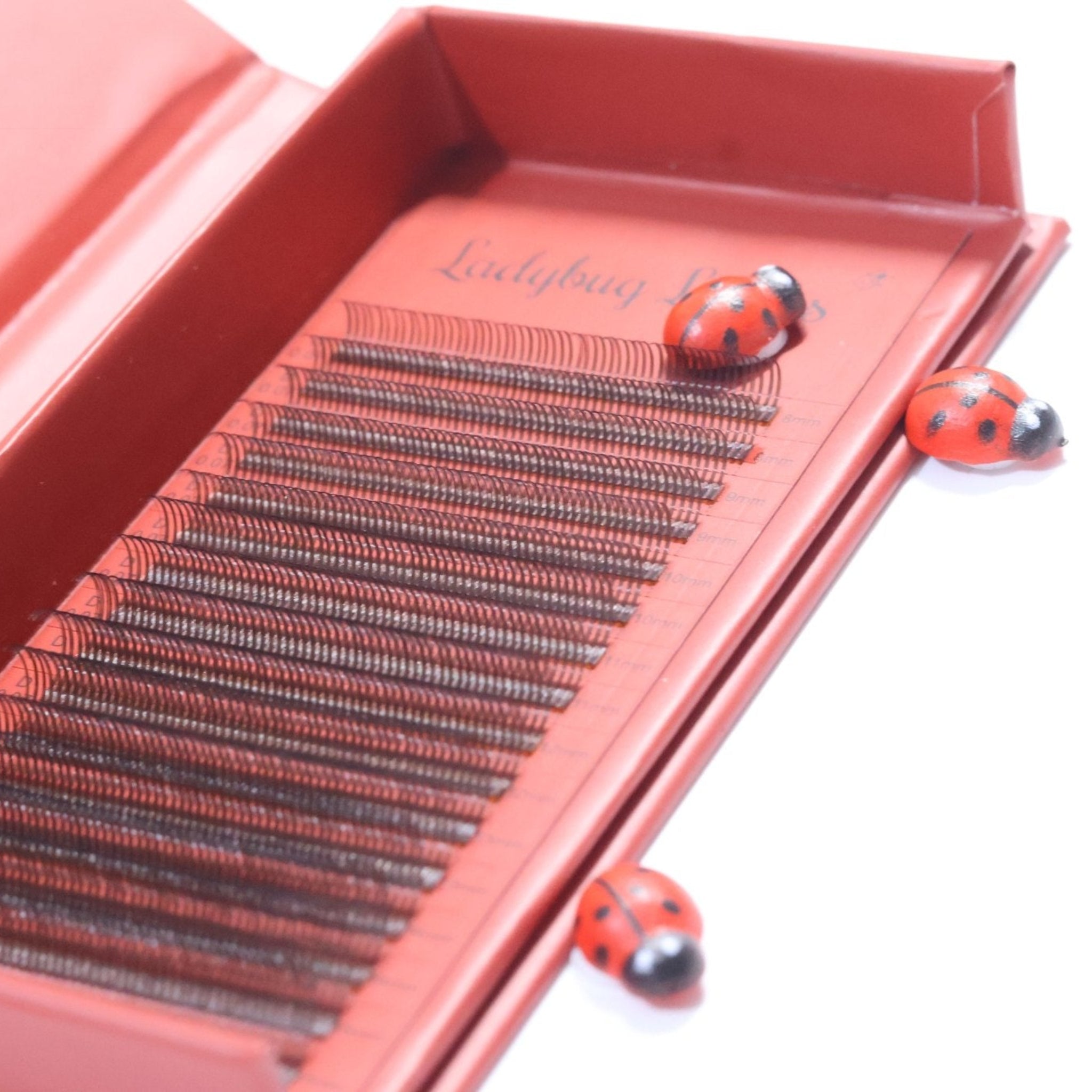 Ladybug Lashes Brown Angel Lash 16 Row Mixed Tray angled side shot showing open red branded box with 16 rows of warm brown angel lashes on a red tray insert, with Ladybug Lashes script branding and three decorative ladybird props visible from a low angle