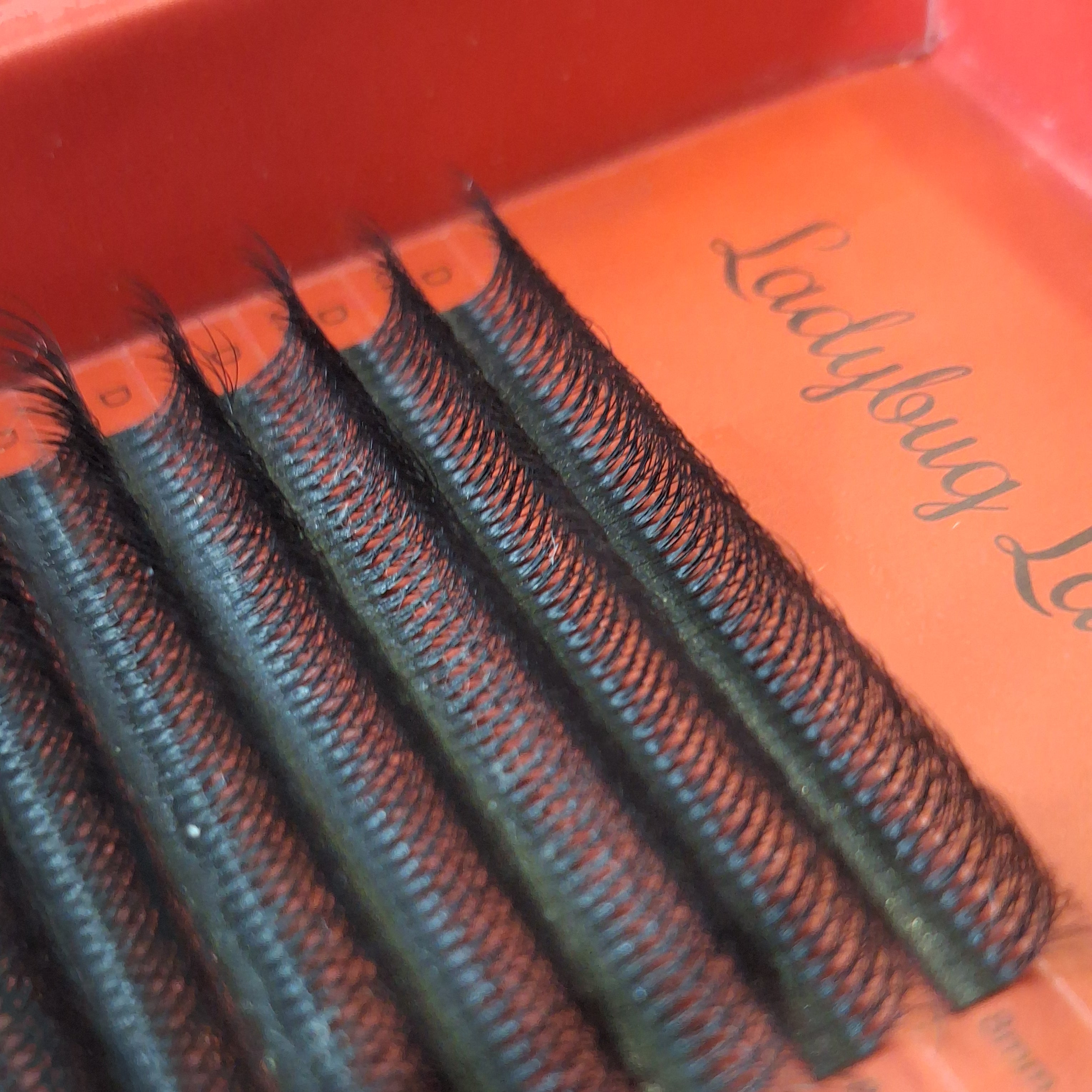 10D Clover Lashes 16 row mixed box