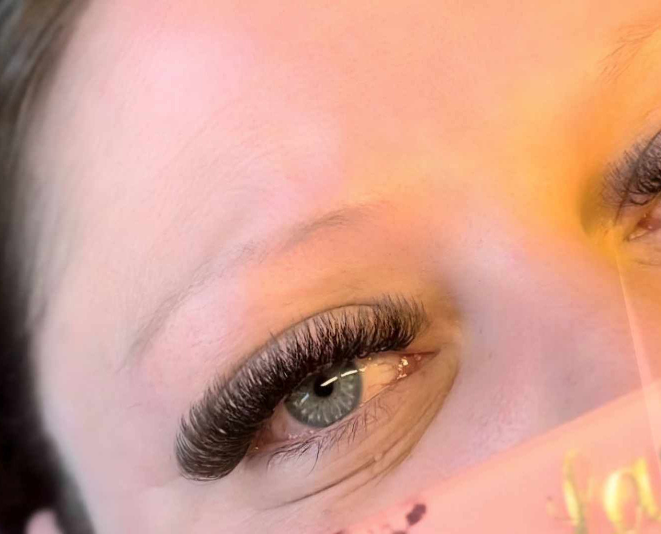 ladybuglashes lashglue lashtrays lashadhesive glueretention cloverlashes wlashes yylashes premades promades lashes