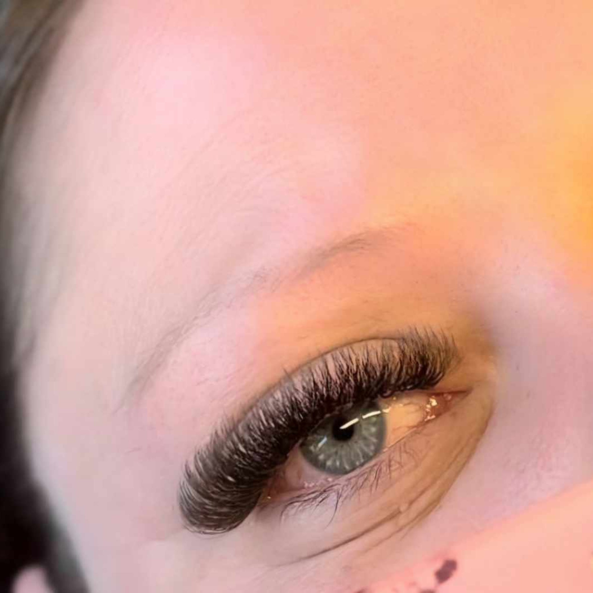 ladybuglashes lashglue lashtrays lashadhesive glueretention cloverlashes wlashes yylashes premades promades lashes