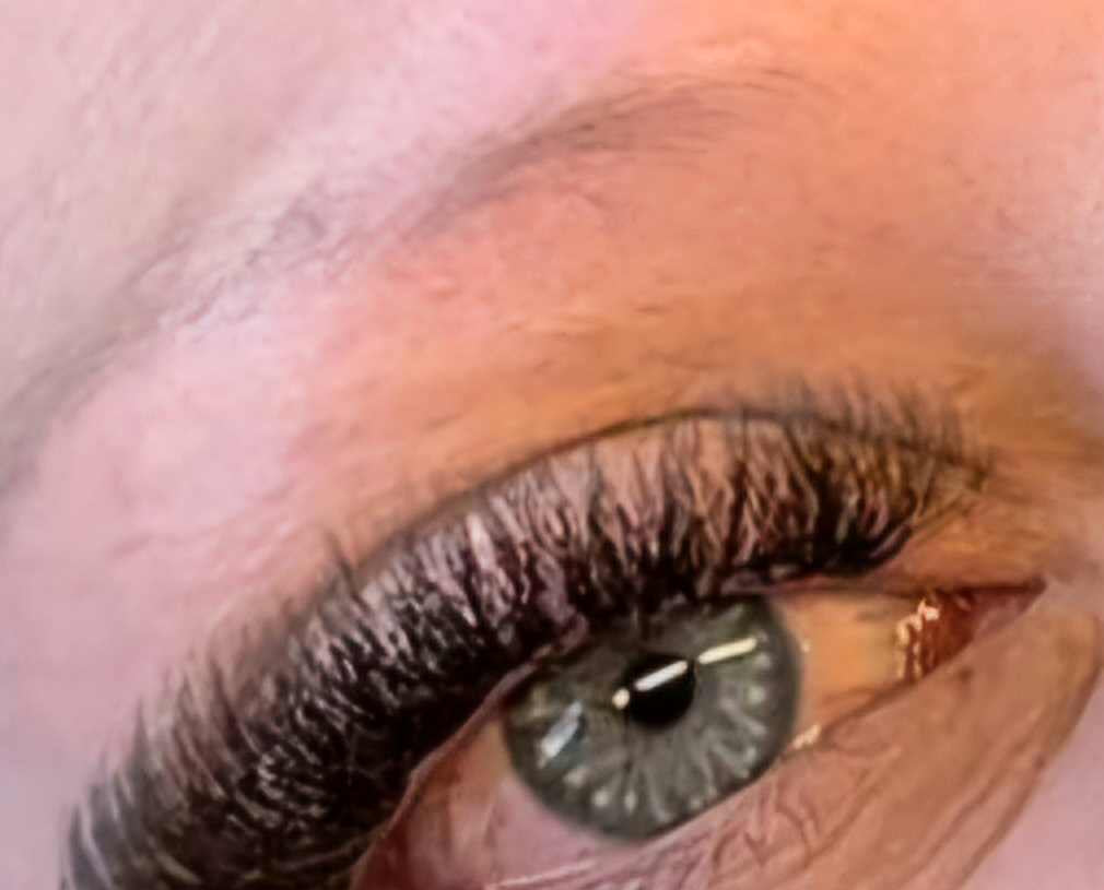 ladybuglashes lashglue lashtrays lashadhesive glueretention cloverlashes wlashes yylashes premades promades lashes