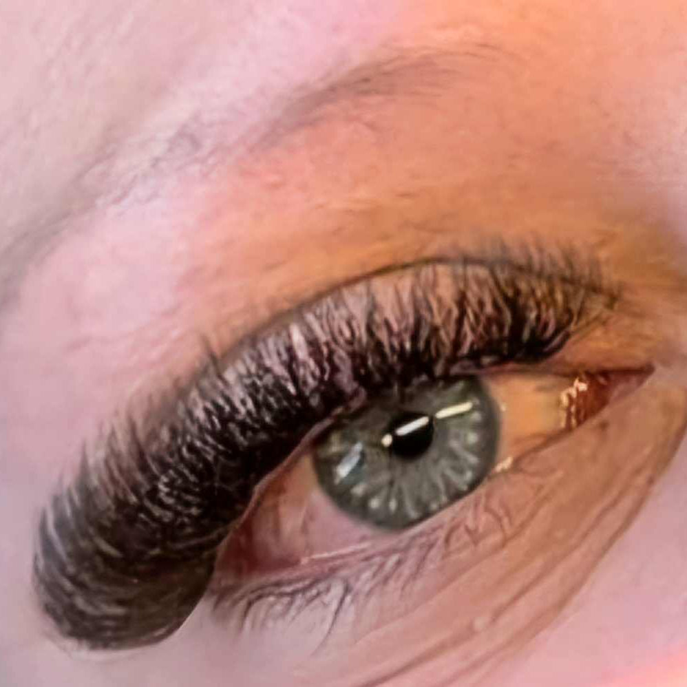 ladybuglashes lashglue lashtrays lashadhesive glueretention cloverlashes wlashes yylashes premades promades lashes