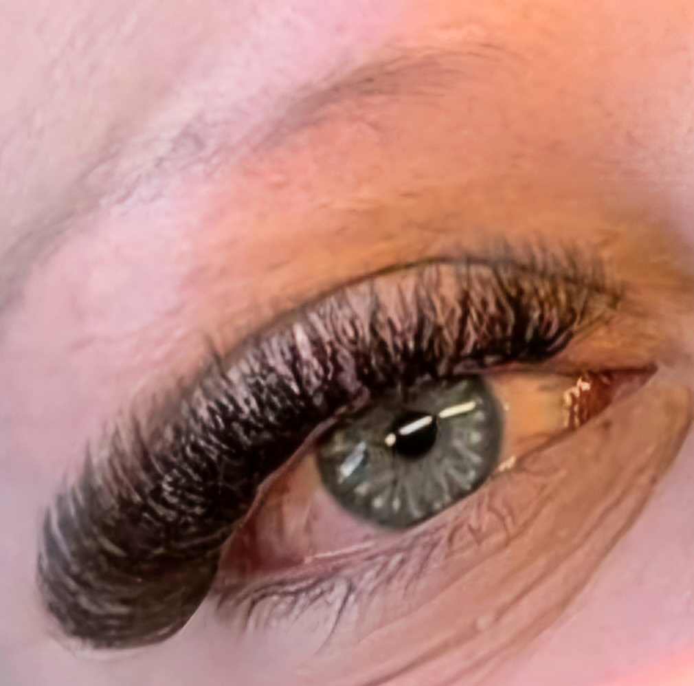 ladybuglashes lashglue lashtrays lashadhesive glueretention cloverlashes wlashes yylashes premades promades lashes