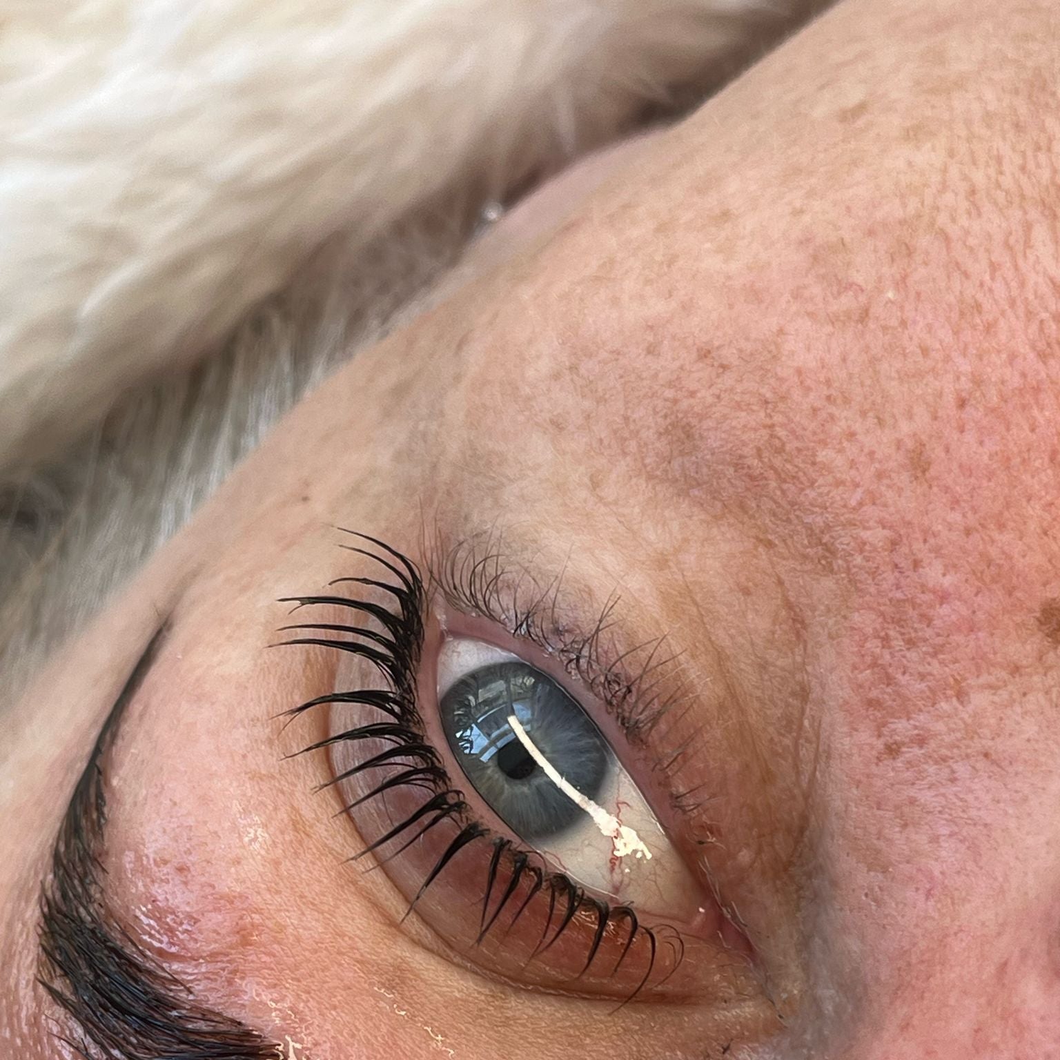 Flutter and Frame Lash & Brow Lamination Sachets – TGA