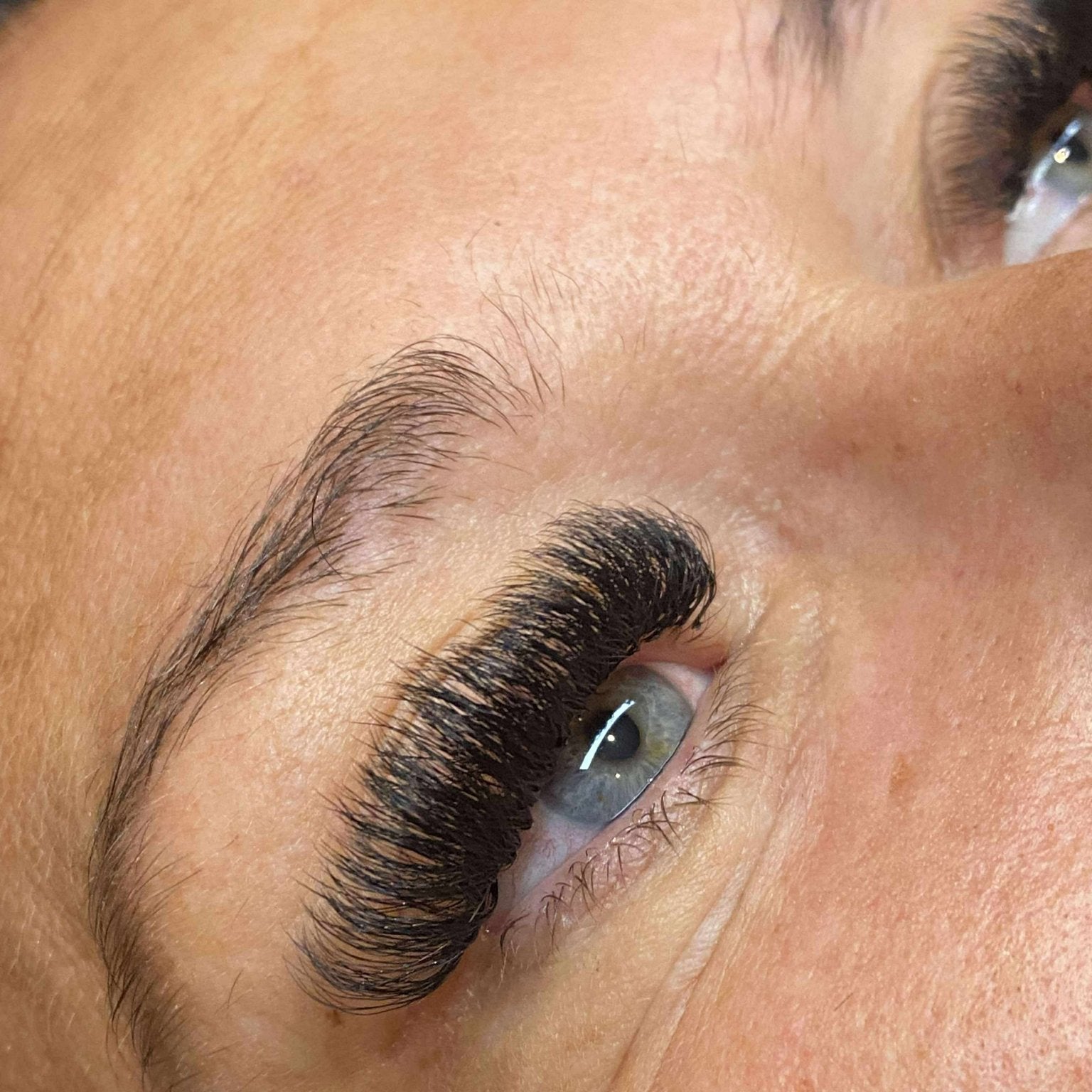 10D Clover Lashes 16 row mixed box