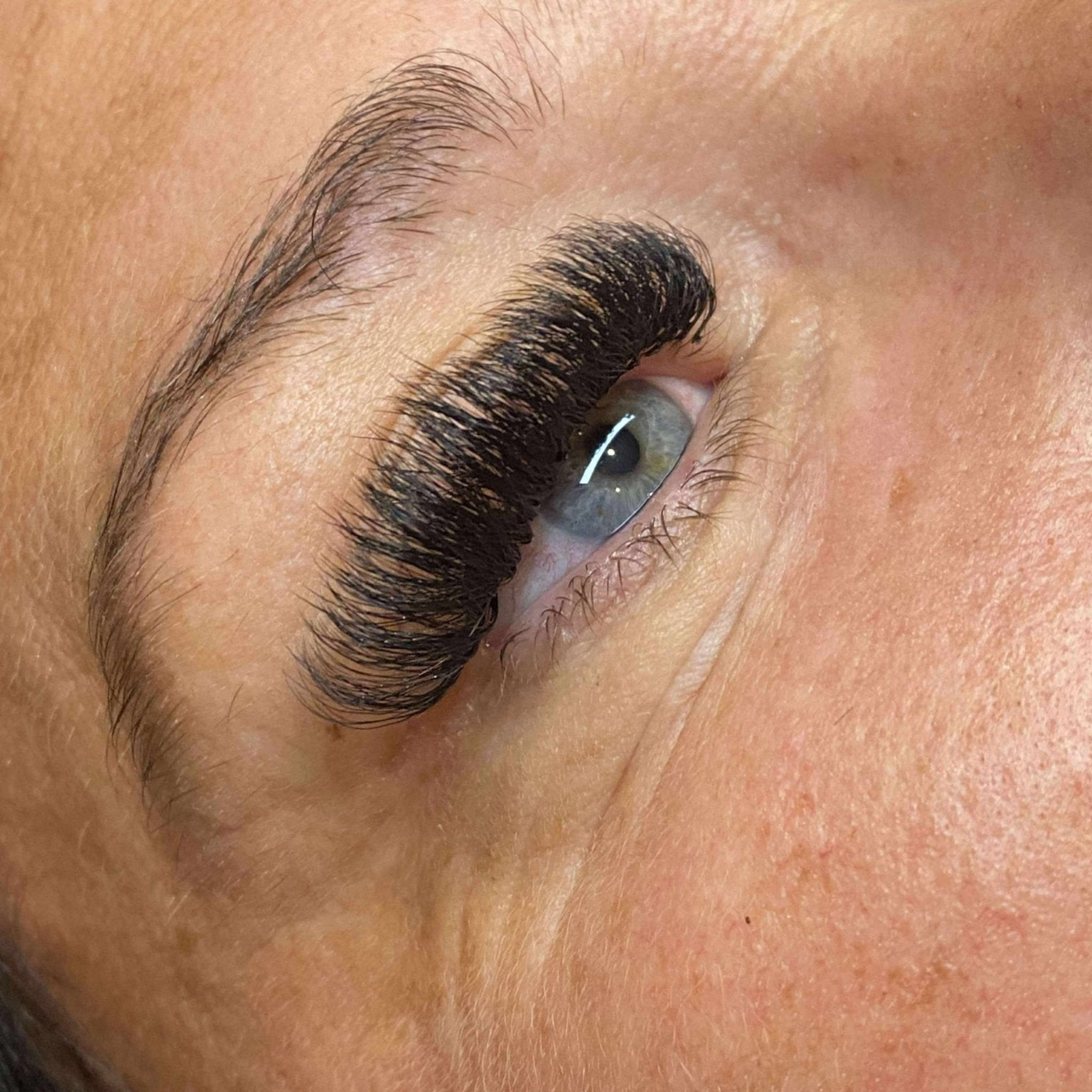 10D Clover Lashes 16 row mixed box