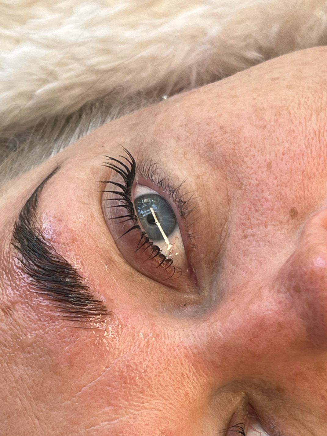 Flutter and Frame Lash & Brow Lamination Sachets – TGA