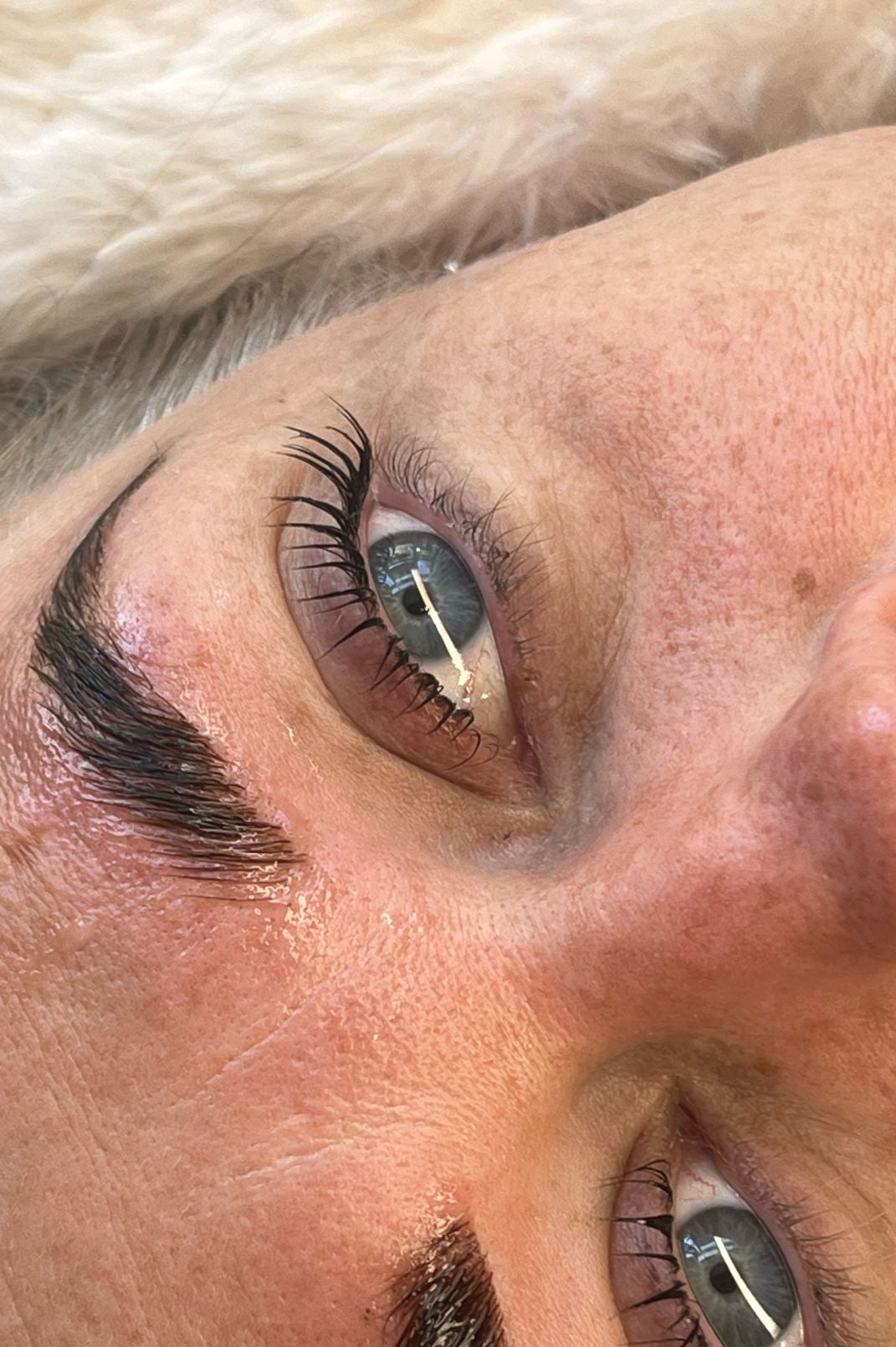 Flutter and Frame Lash & Brow Lamination Sachets – TGA