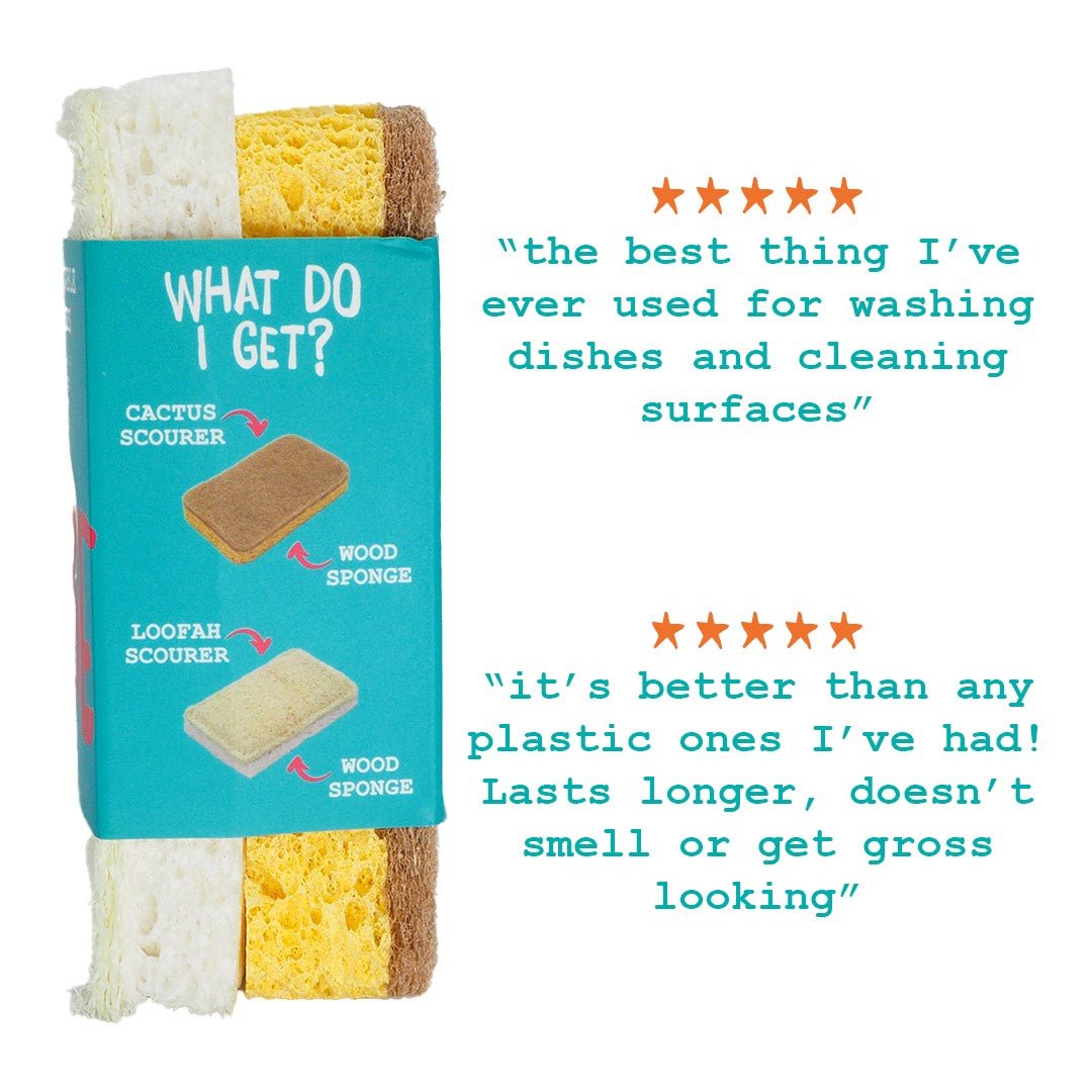 ladybuglashes lashglue lashtrays lashadhesive glueretention cloverlashes wlashes yylashes premades promades lashes