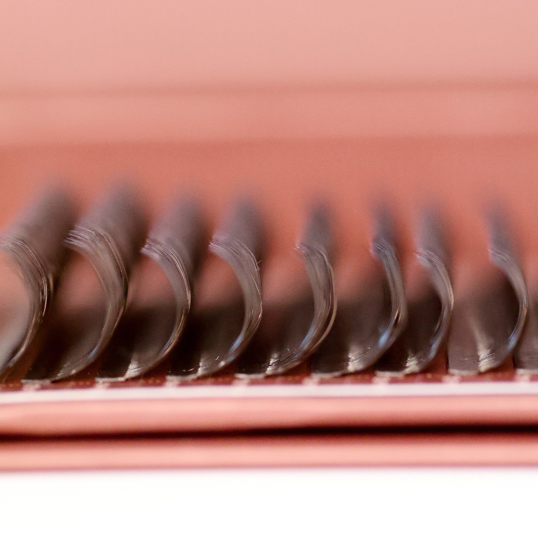 Close-up of brown Fairy lash extensions on Ladybug Lashes strip showing consistent D curl shape and warm brown colour tone