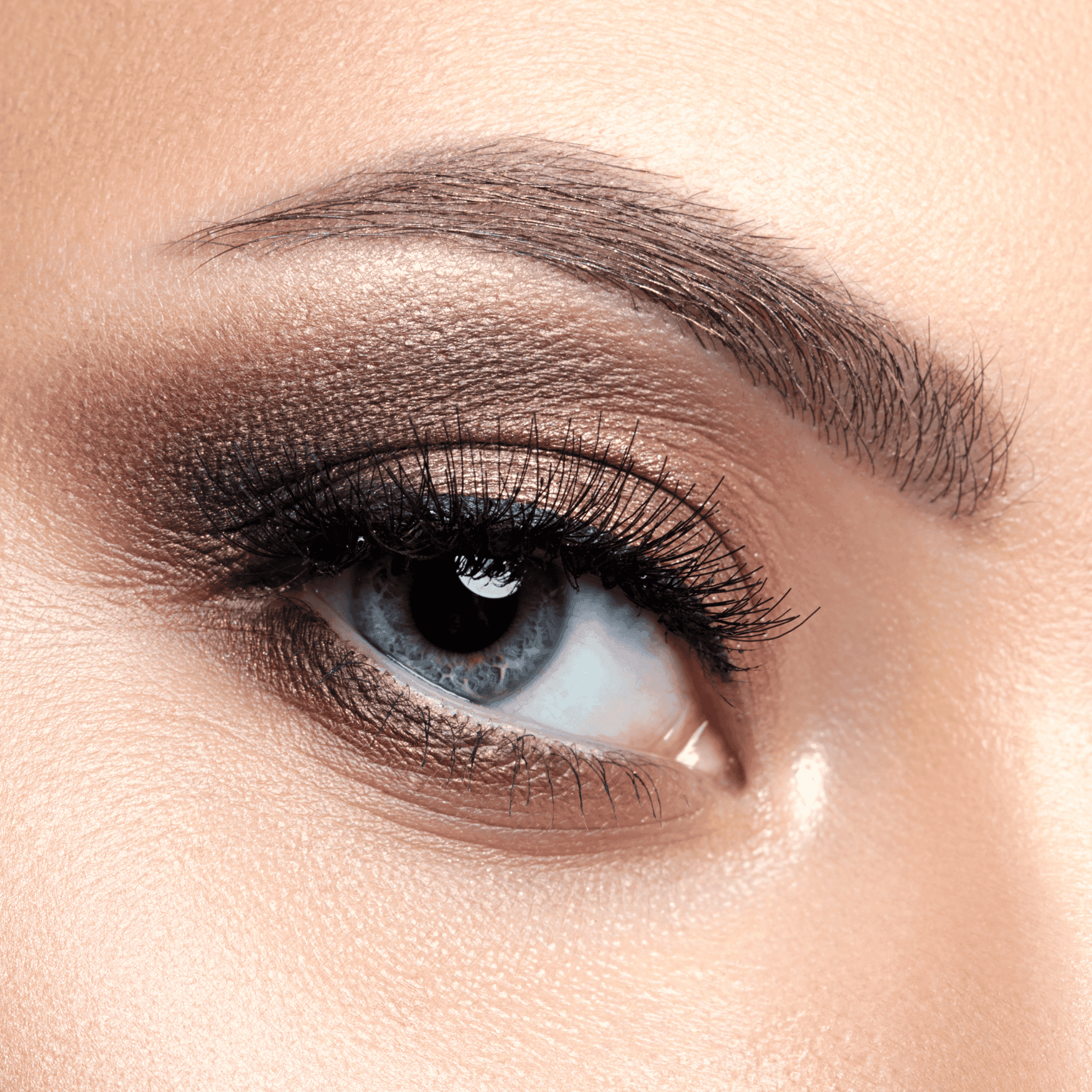 Eyelash and Eyebrow Tinting Online Course