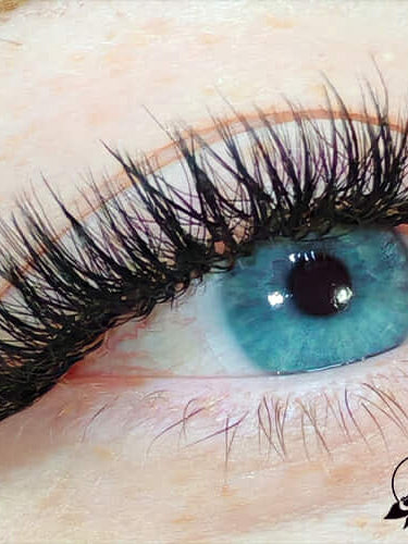 ladybuglashes lashglue lashtrays lashadhesive glueretention cloverlashes wlashes yylashes premades promades lashes